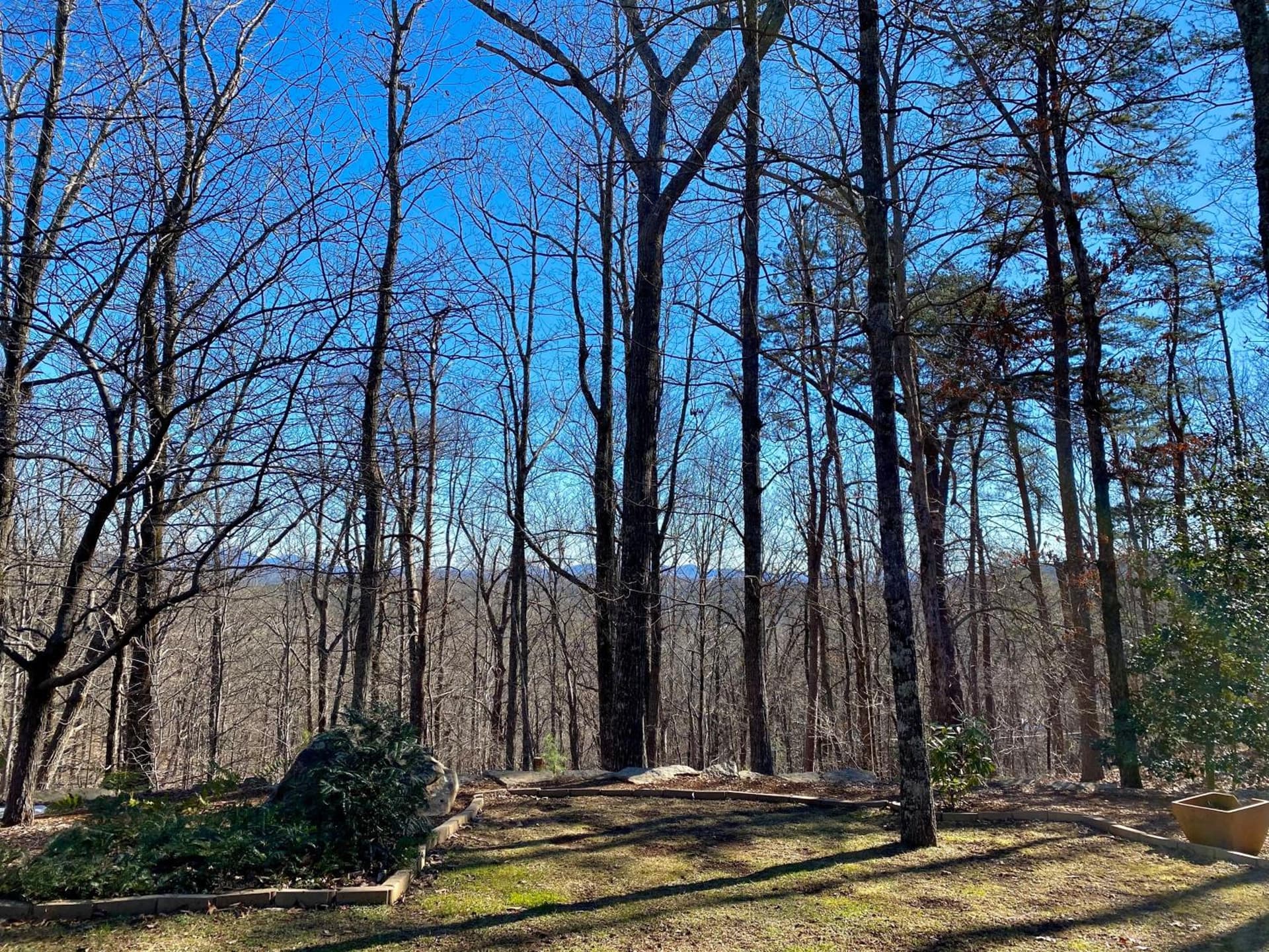 Barefoot Hills gallery photo in Dahlonega, GA — image 116