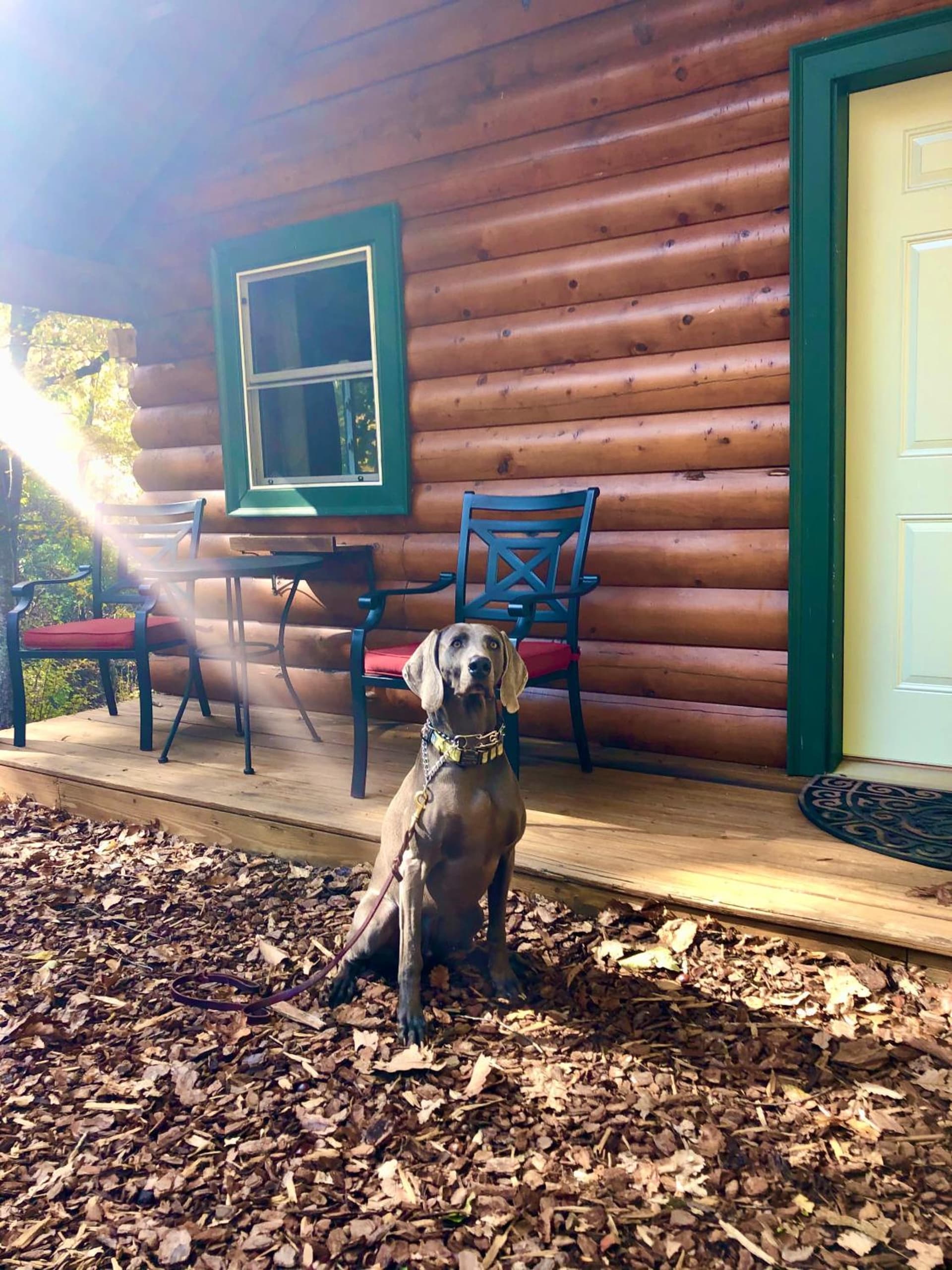Barefoot Hills gallery photo in Dahlonega, GA — image 54