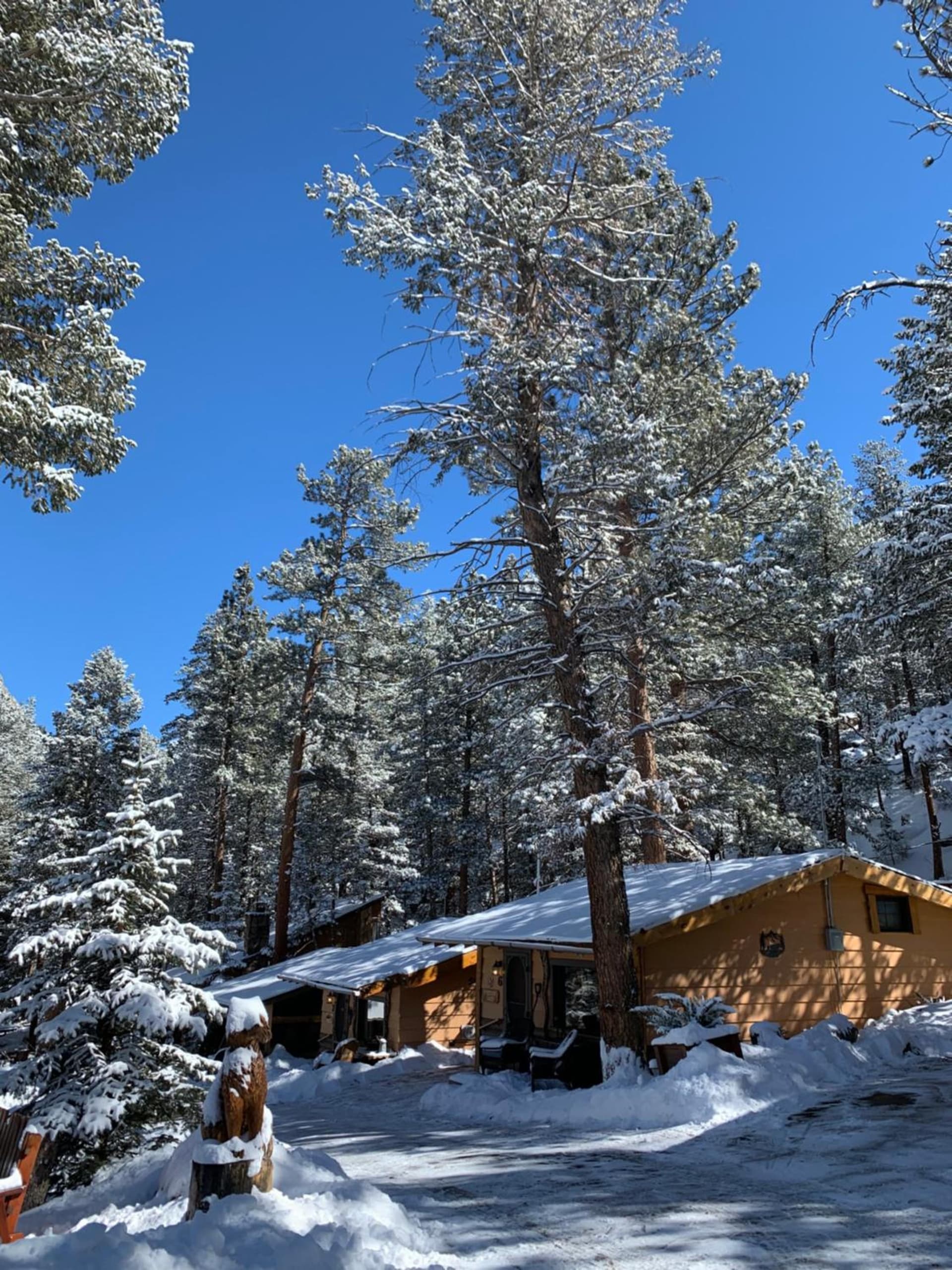 Pine Haven Resort interior in Estes Park, CO — gallery photo 2