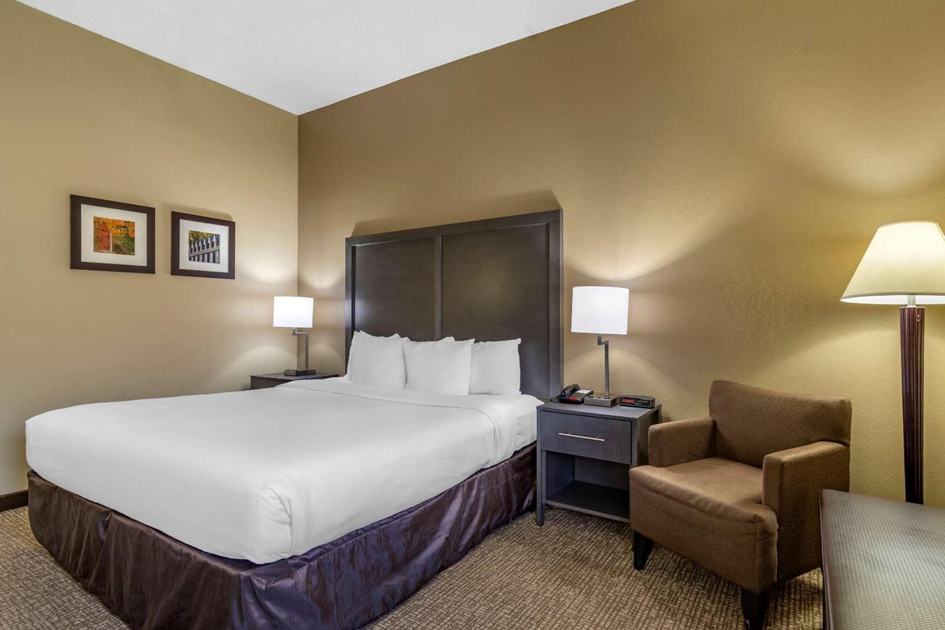 Comfort Inn Opelika - Auburn gallery photo in Opelika, AL — image 9
