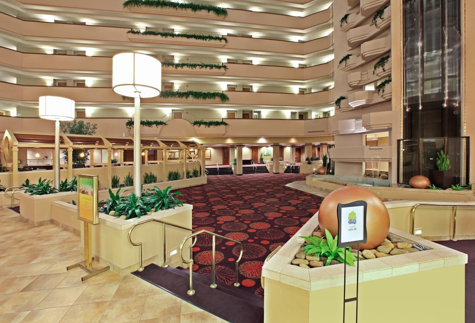 Holiday Inn Springdale-Fayetteville Area by IHG gallery photo in Springdale, AR — image 9