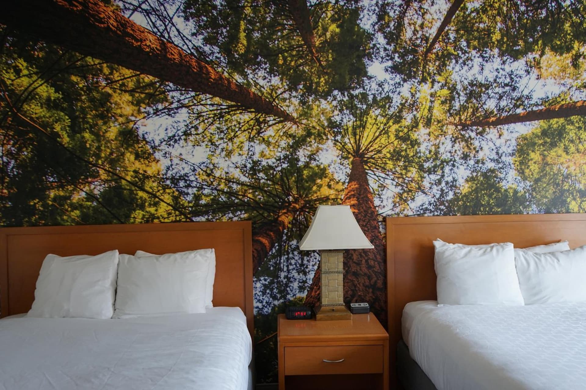 The Hanford Hotel, an Ascend Collection Hotel gallery photo in Hanford, CA — image 55