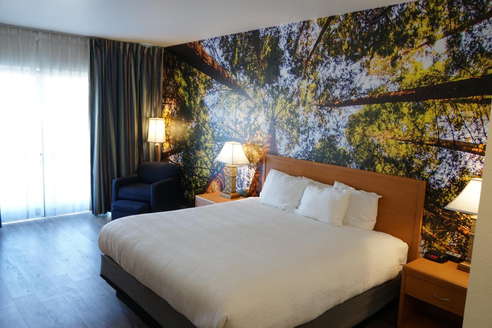 The Hanford Hotel, an Ascend Collection Hotel gallery photo in Hanford, CA — image 47