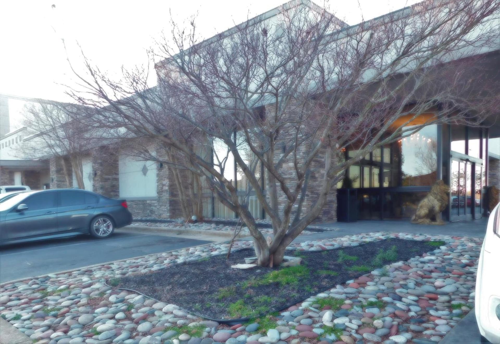 Wyndham Garden Greensboro gallery photo in Greensboro, NC — image 57