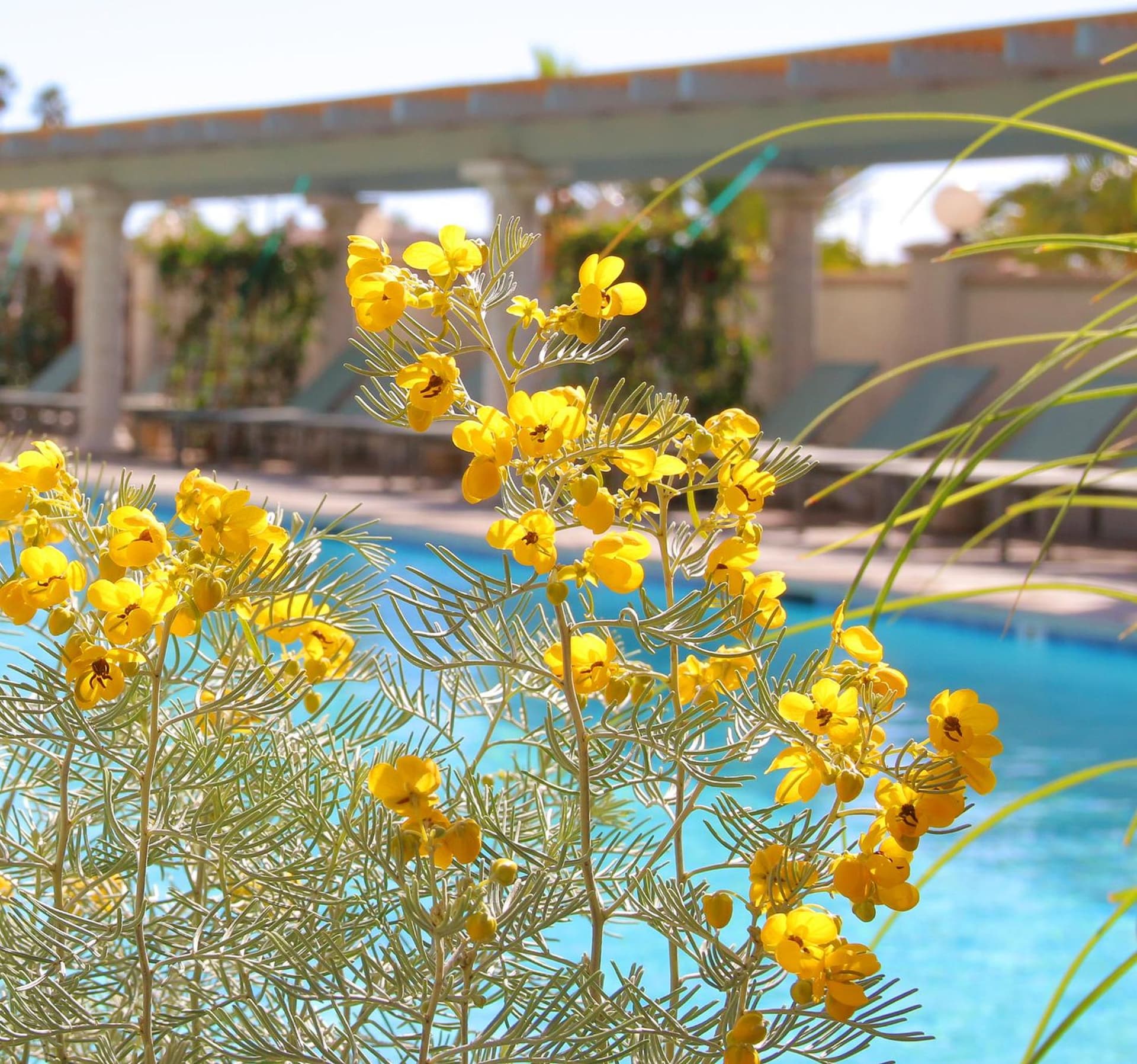 Azure Palm Hot Springs interior in Desert Hot Springs, CA — gallery photo 2