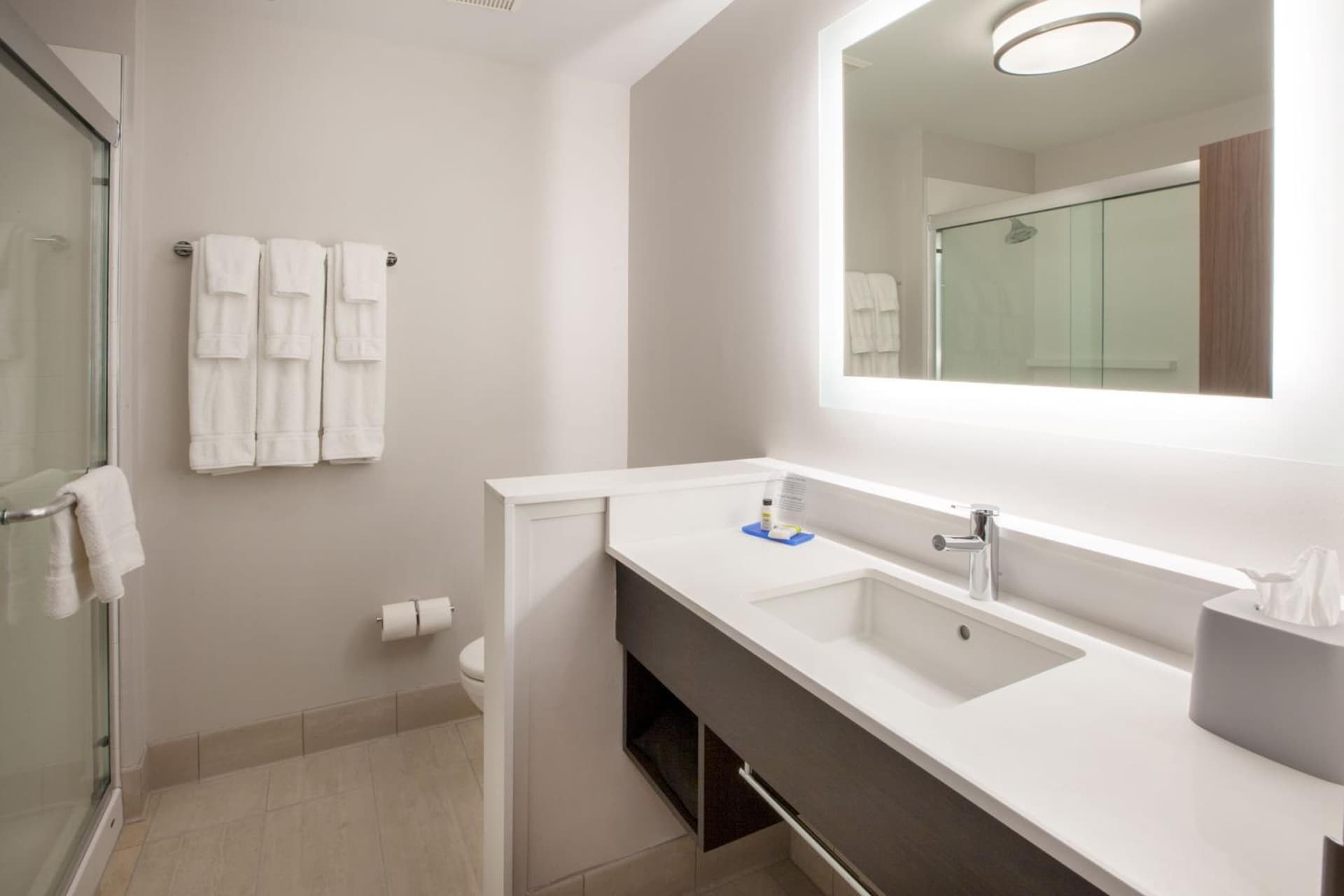 Holiday Inn Express & Suites - Ann Arbor - University South by IHG gallery photo in Ann Arbor, MI — image 57