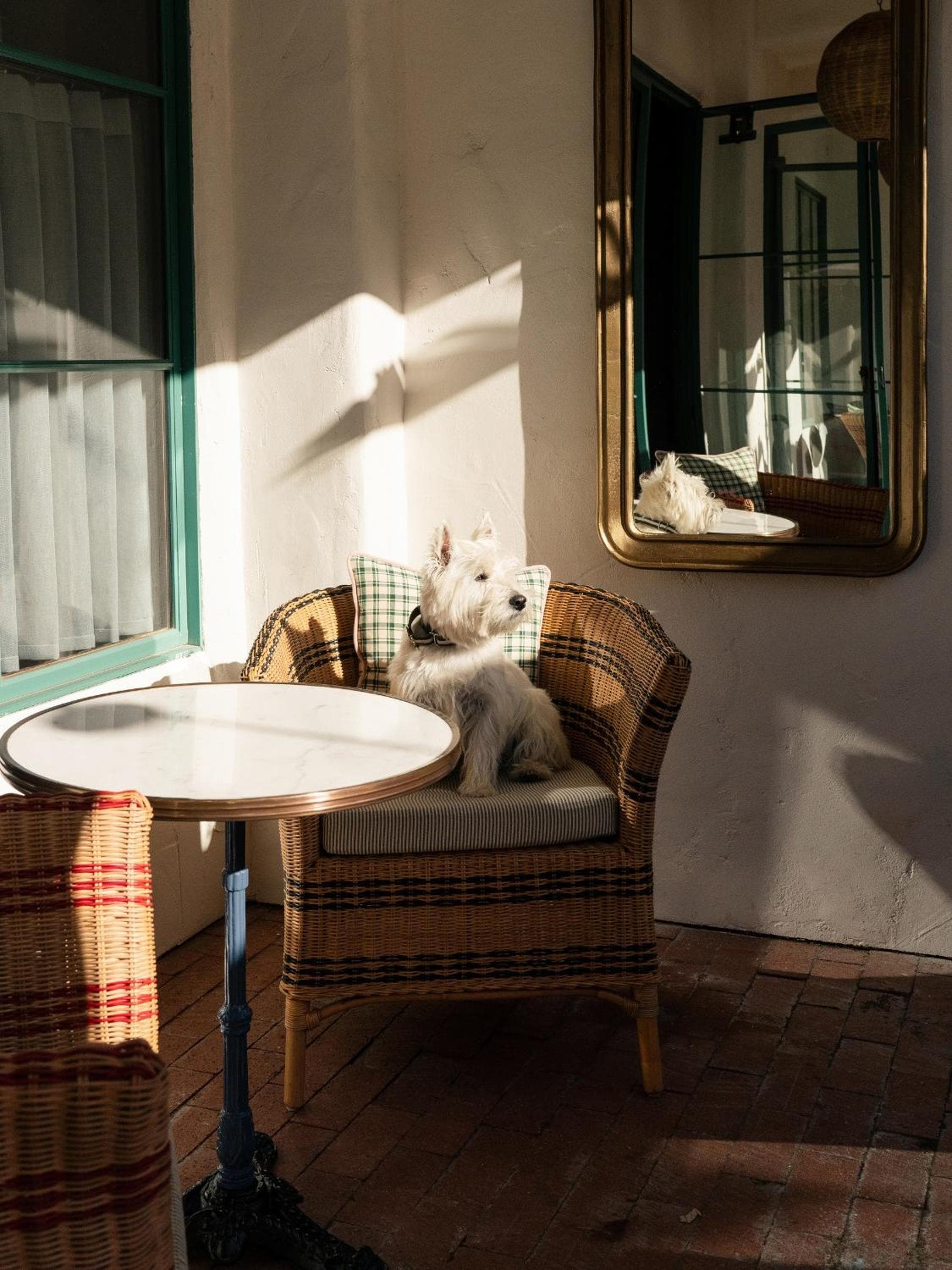 Palihouse Santa Barbara gallery photo in Santa Barbara, CA — image 16