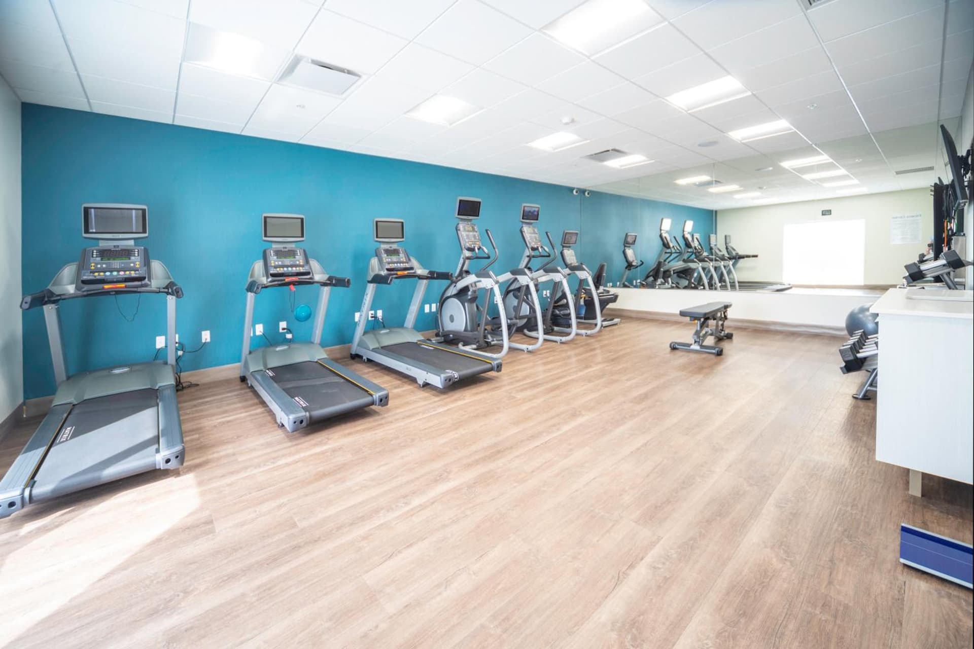 Holiday Inn Express & Suites - Fort Myers Airport by IHG gallery photo in Fort Myers, FL — image 39