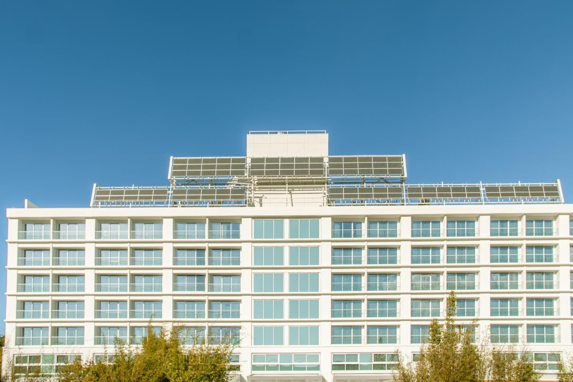 Miyako Hybrid Hotel Torrance gallery photo in Torrance, CA — image 16
