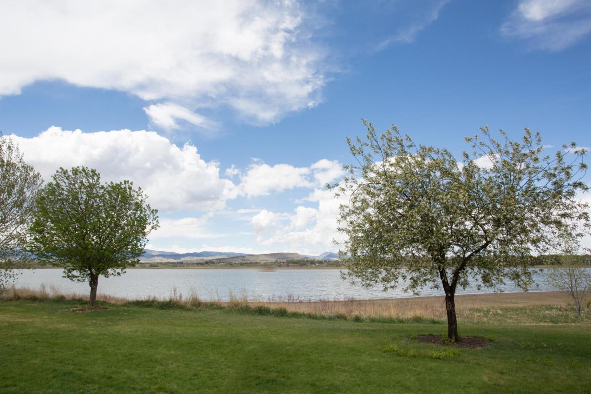 Candlewood Suites Longmont - Boulder Area by IHG gallery photo in Longmont, CO — image 49