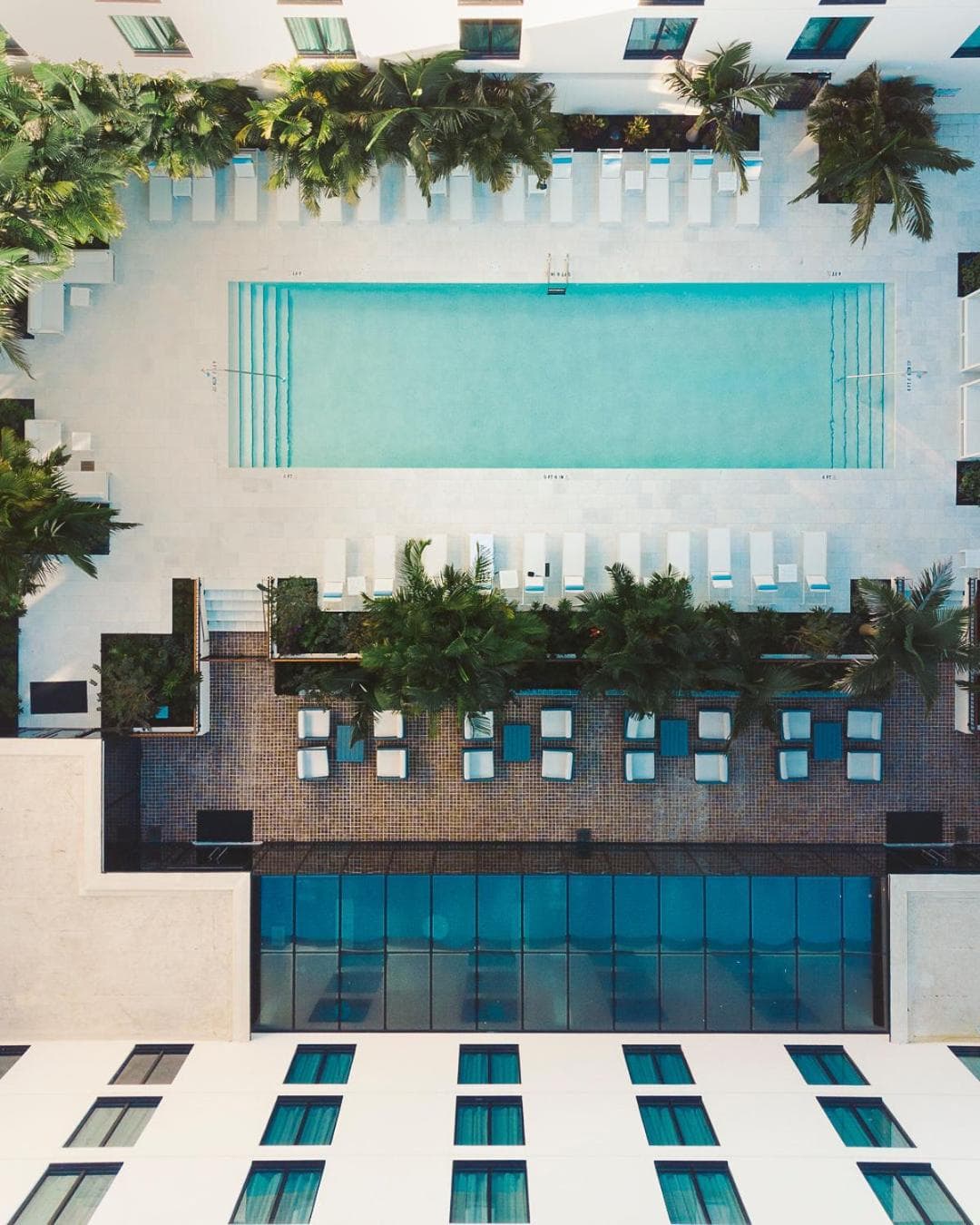 Hotel Haya gallery photo in Tampa, FL — image 45