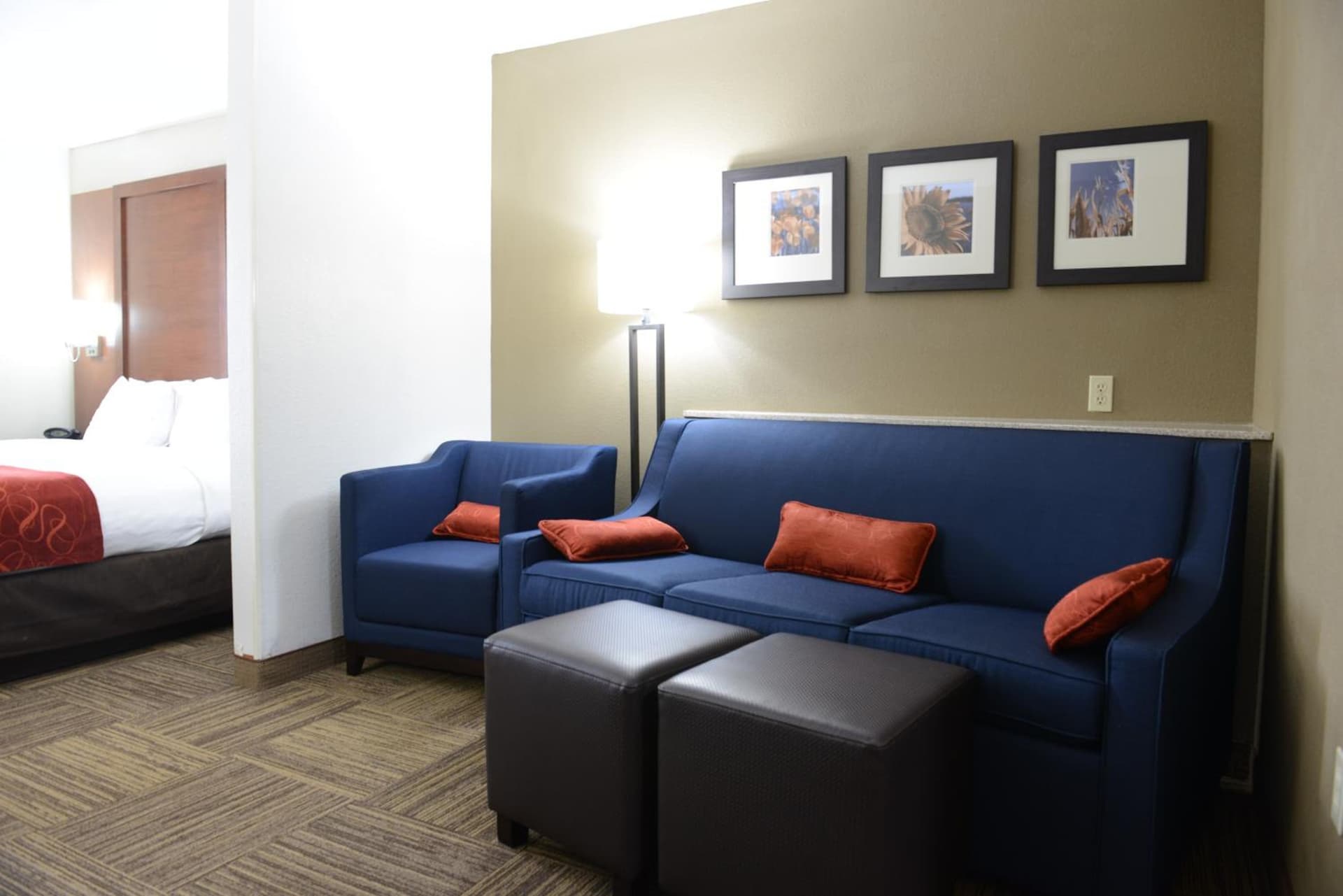 Comfort Suites Urbana Champaign, University Area gallery photo in Champaign, IL — image 41