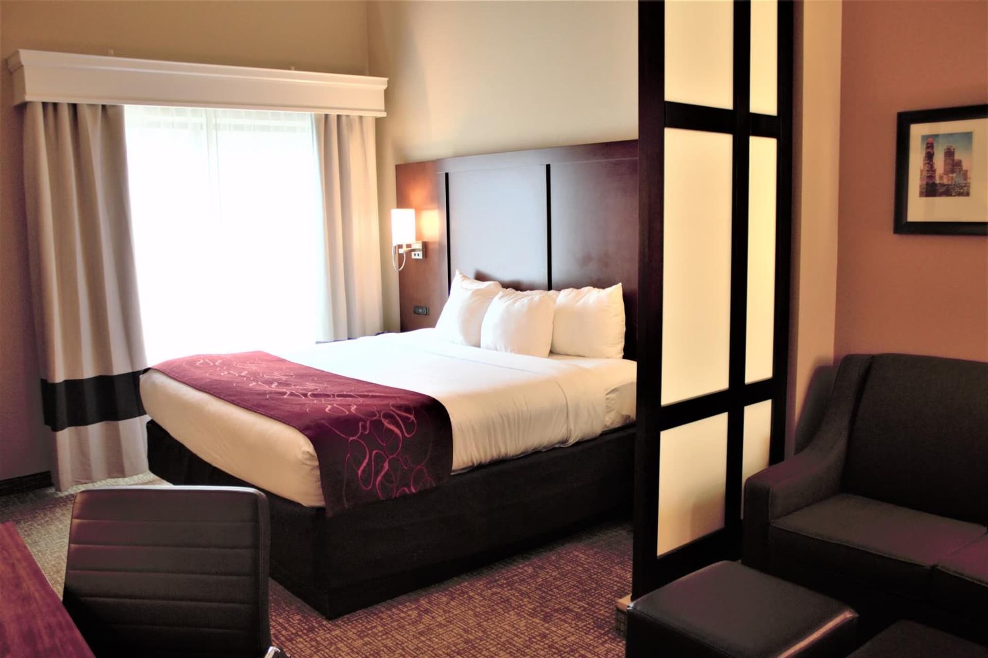 Comfort Suites Huntersville near Lake Norman gallery photo in Huntersville, NC — image 11