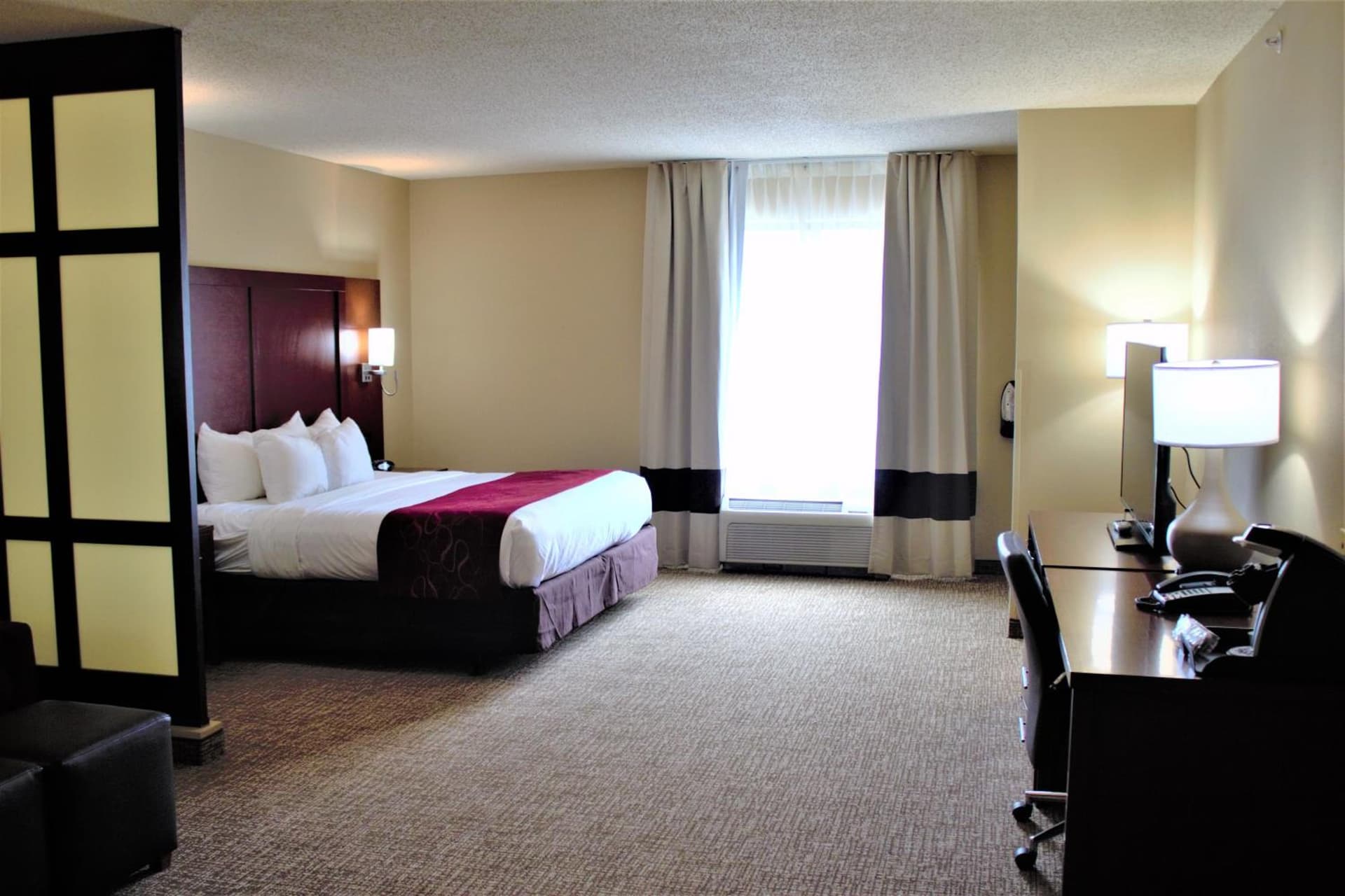 Comfort Suites Huntersville near Lake Norman gallery photo in Huntersville, NC — image 20