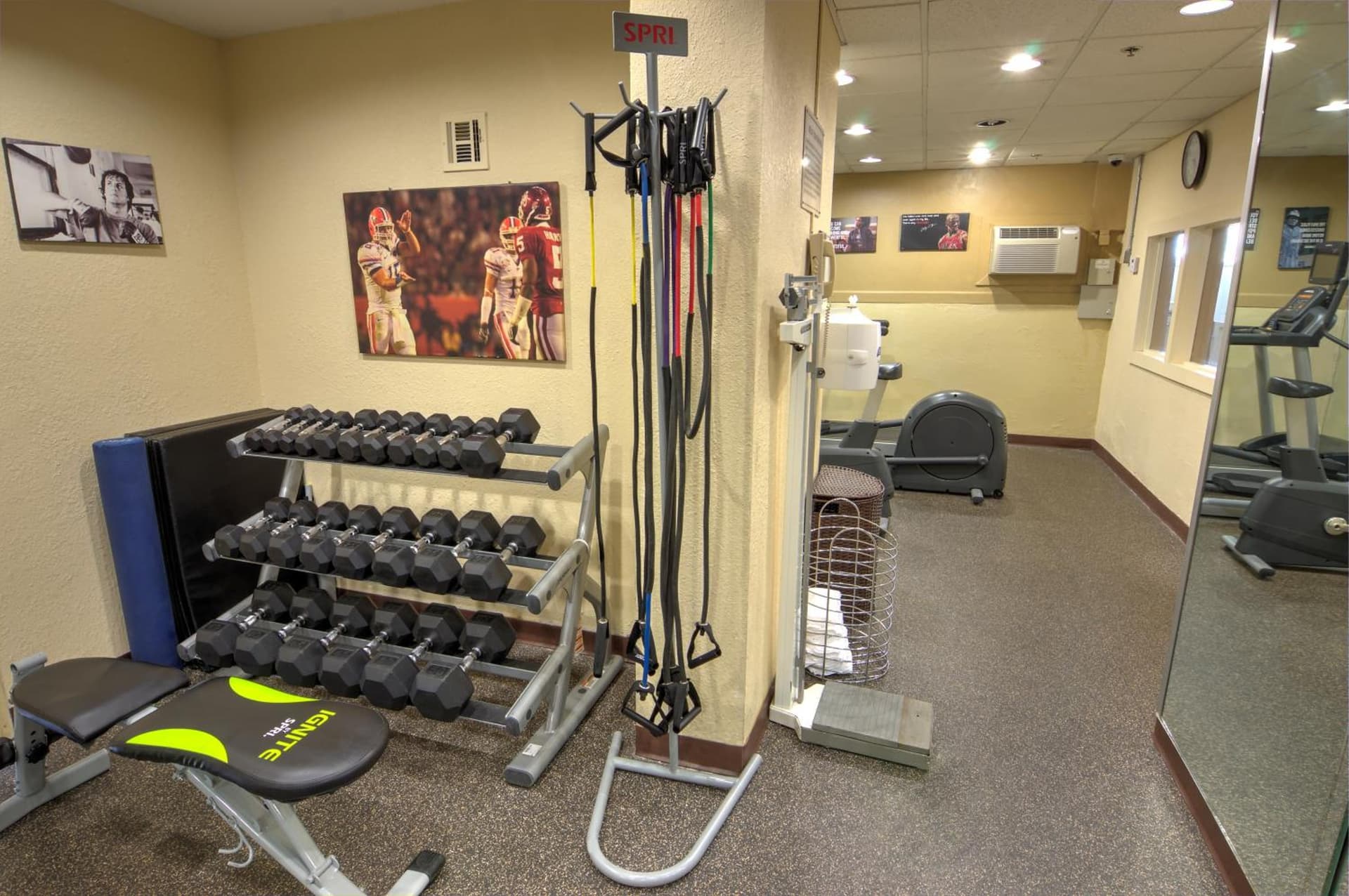 Holiday Inn Gainesville-University Center by IHG gallery photo in Gainesville, FL — image 13