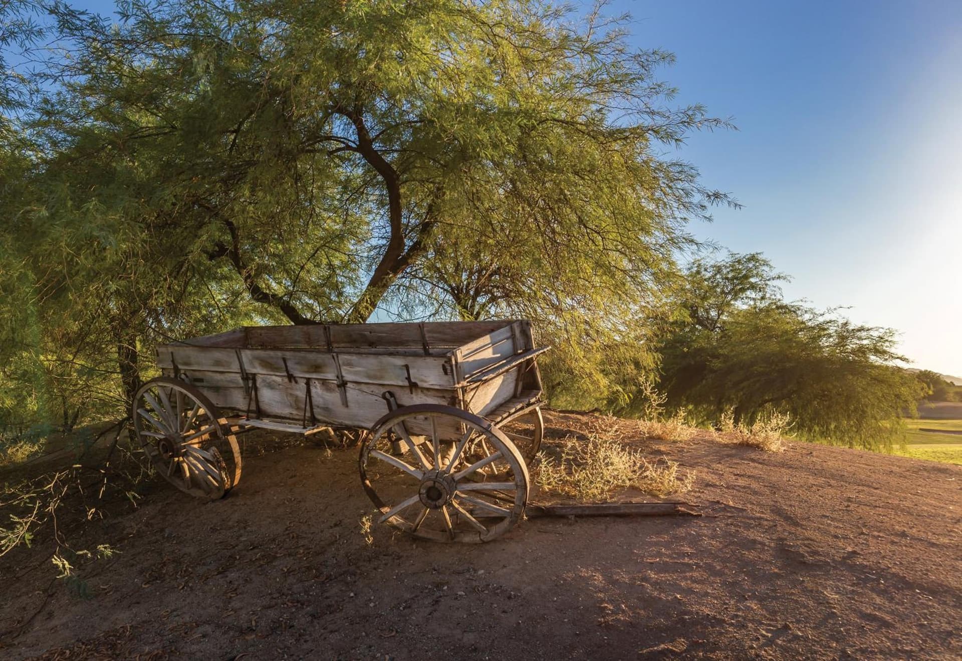 The Legacy Golf Resort gallery photo in Phoenix, AZ — image 26