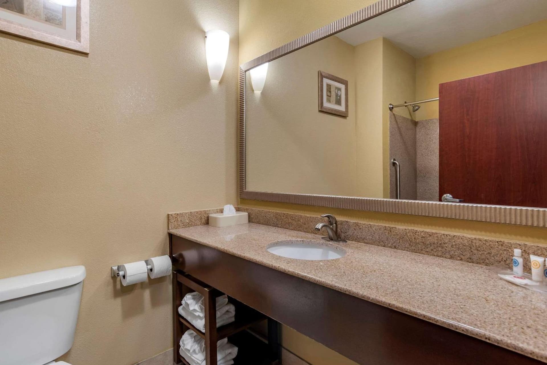 Comfort Suites Airport South gallery photo in Montgomery, AL — image 25