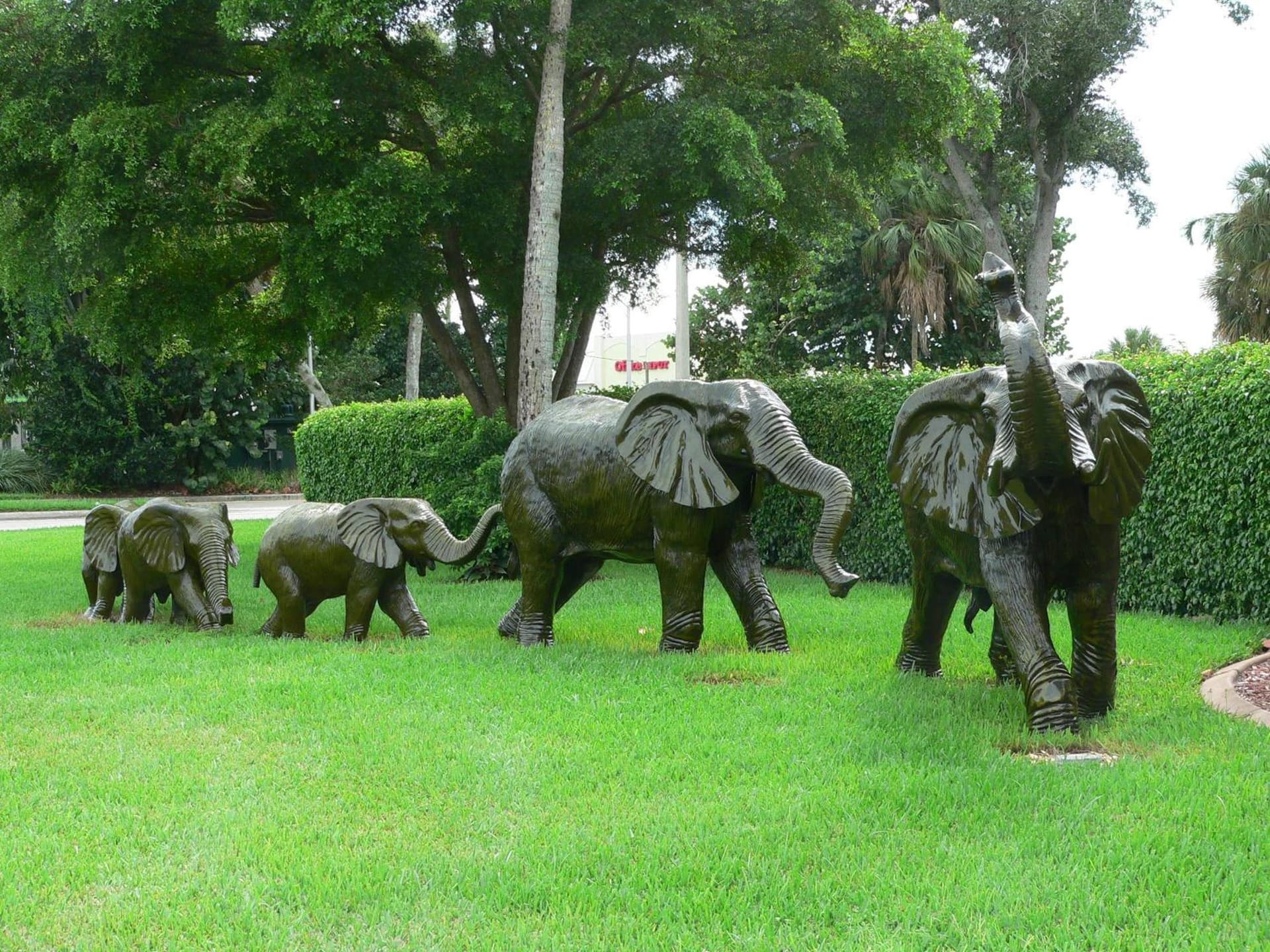 Best Western Naples Inn & Suites gallery photo in Naples, FL — image 37