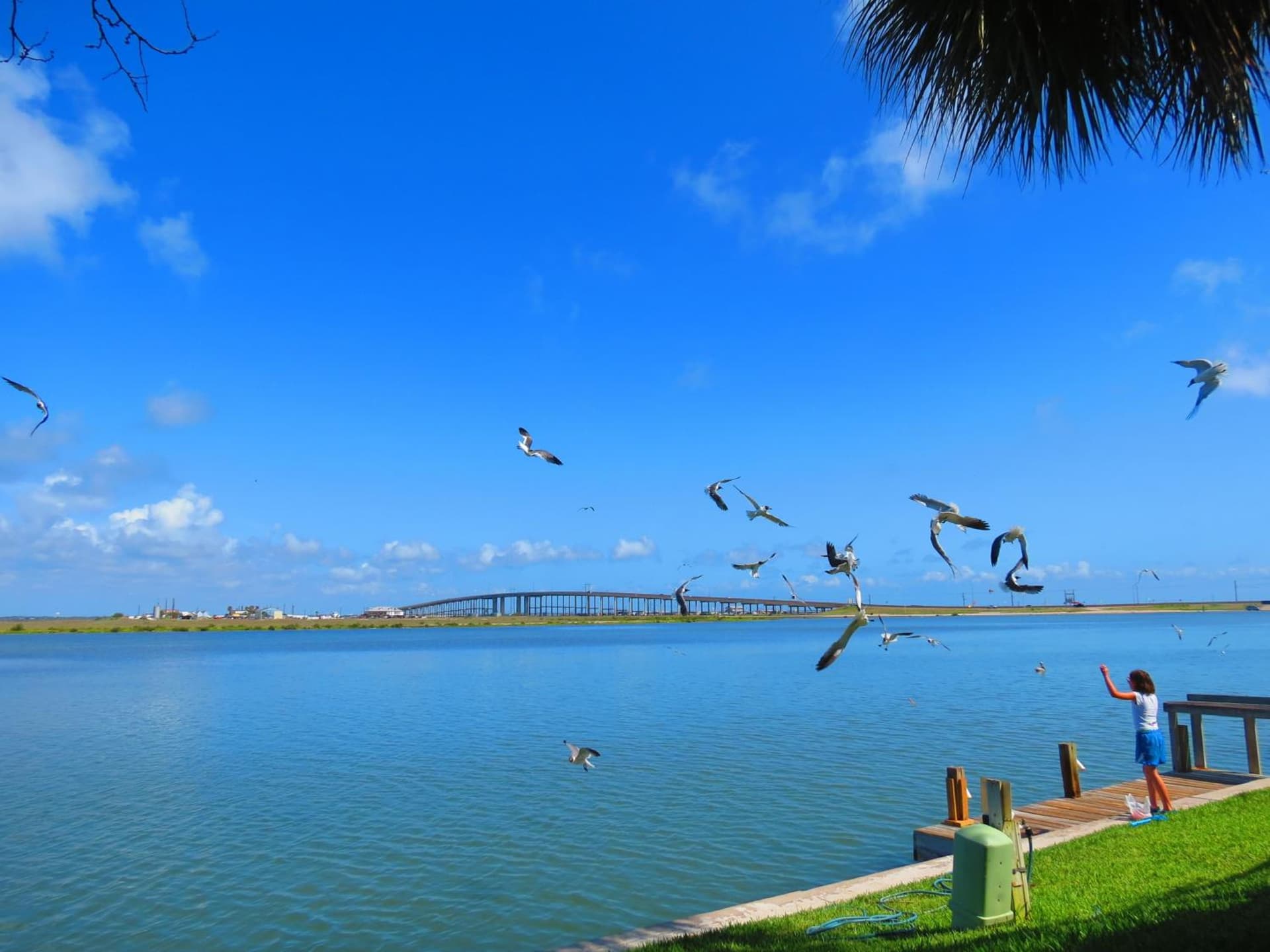 Multi Resorts at Puente Vista gallery photo in Corpus Christi, TX — image 5