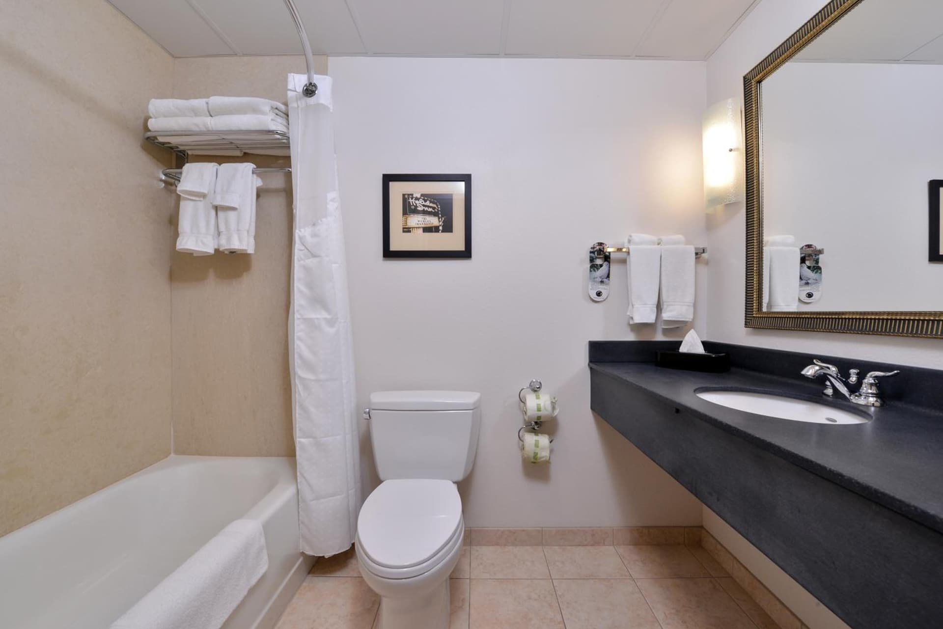 Holiday Inn Madison at The American Center by IHG property views in Madison, WI — gallery photo 3