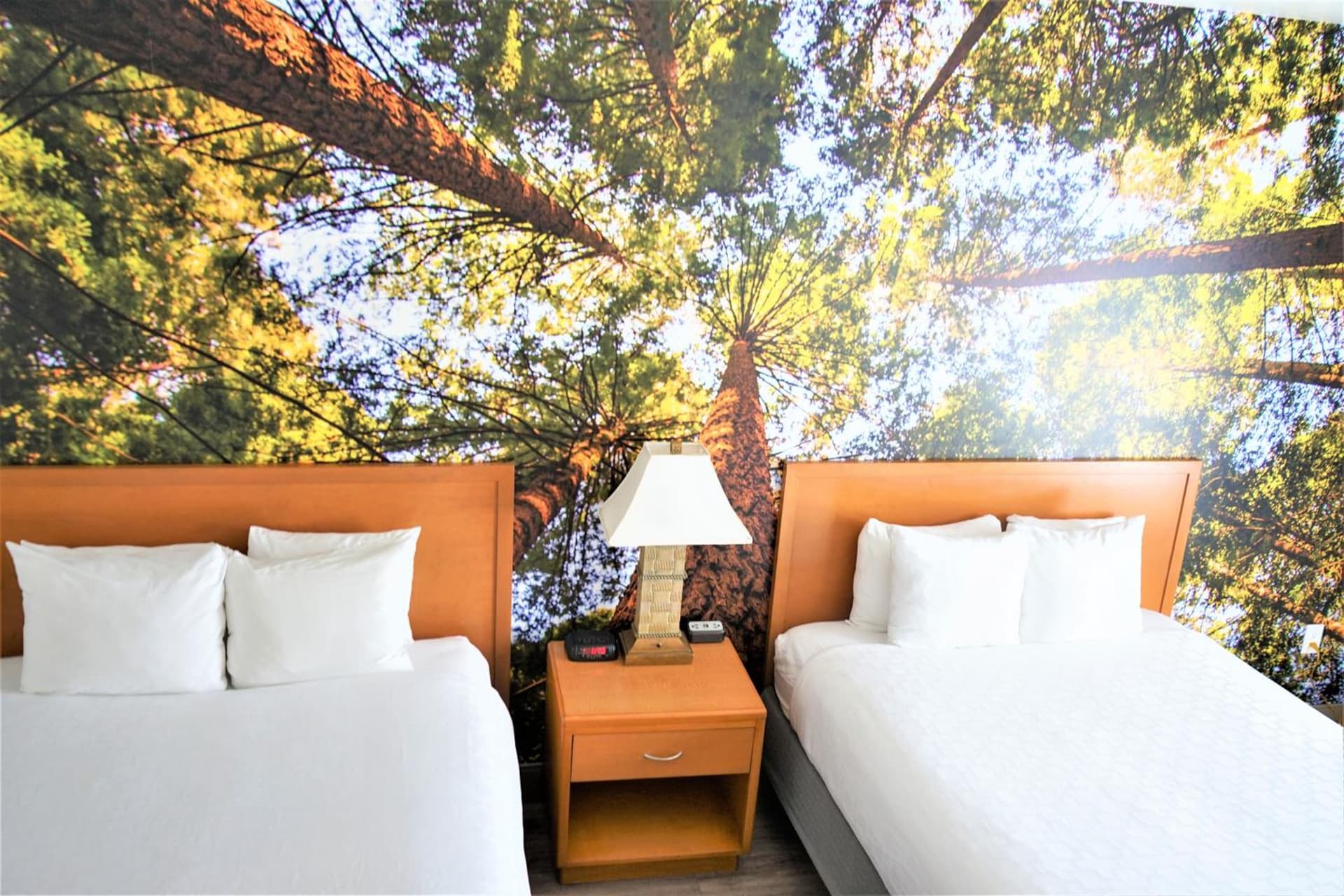 The Hanford Hotel, an Ascend Collection Hotel gallery photo in Hanford, CA — image 38
