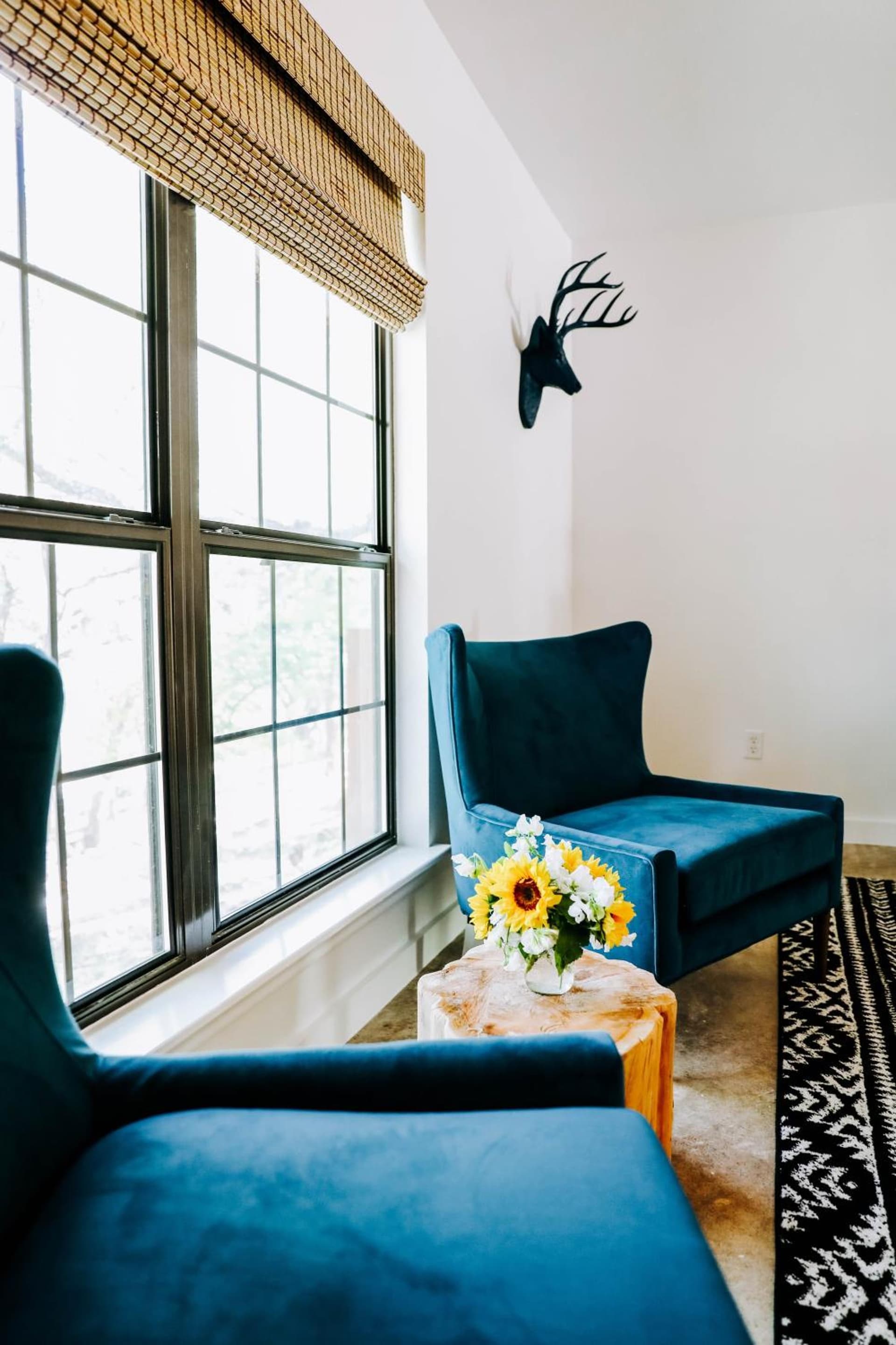 Wimberley Inn & bar gallery photo in Wimberley, TX — image 38