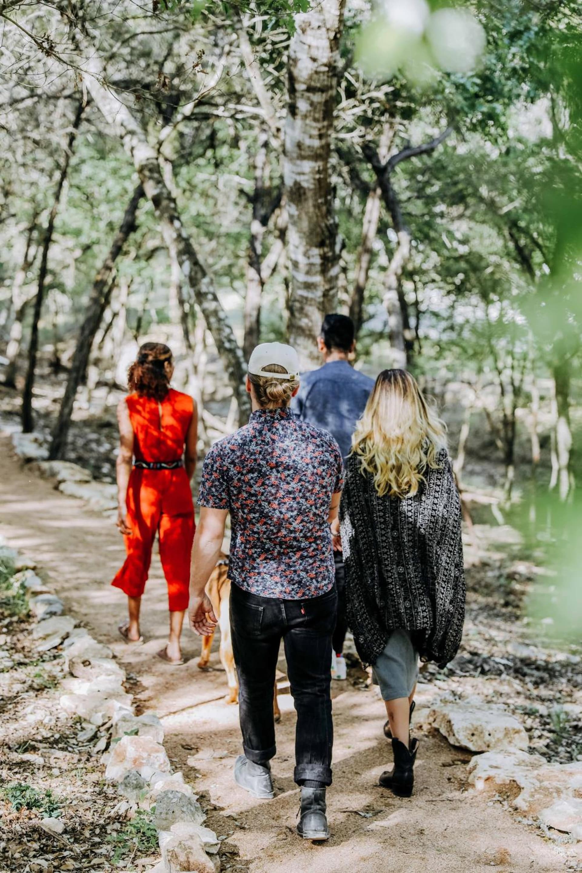Wimberley Inn & bar gallery photo in Wimberley, TX — image 46