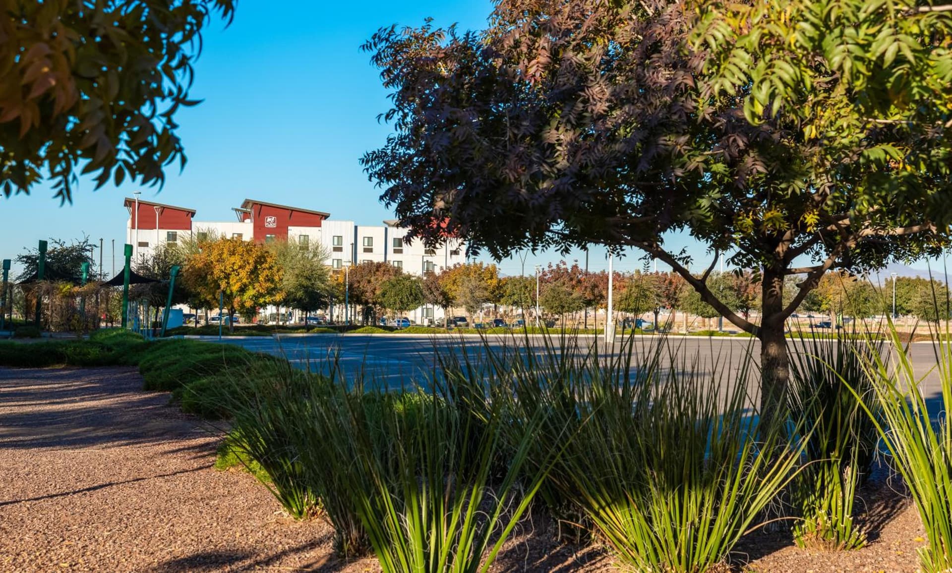 Sonesta Simply Suites Avondale gallery photo in Avondale, AZ — image 23