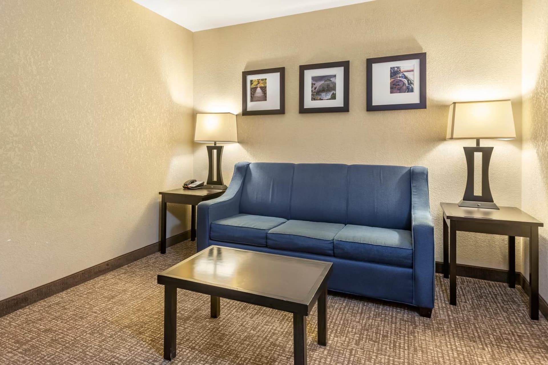 Comfort Inn & Suites Allen Park - Dearborn gallery photo in Allen Park, MI — image 16