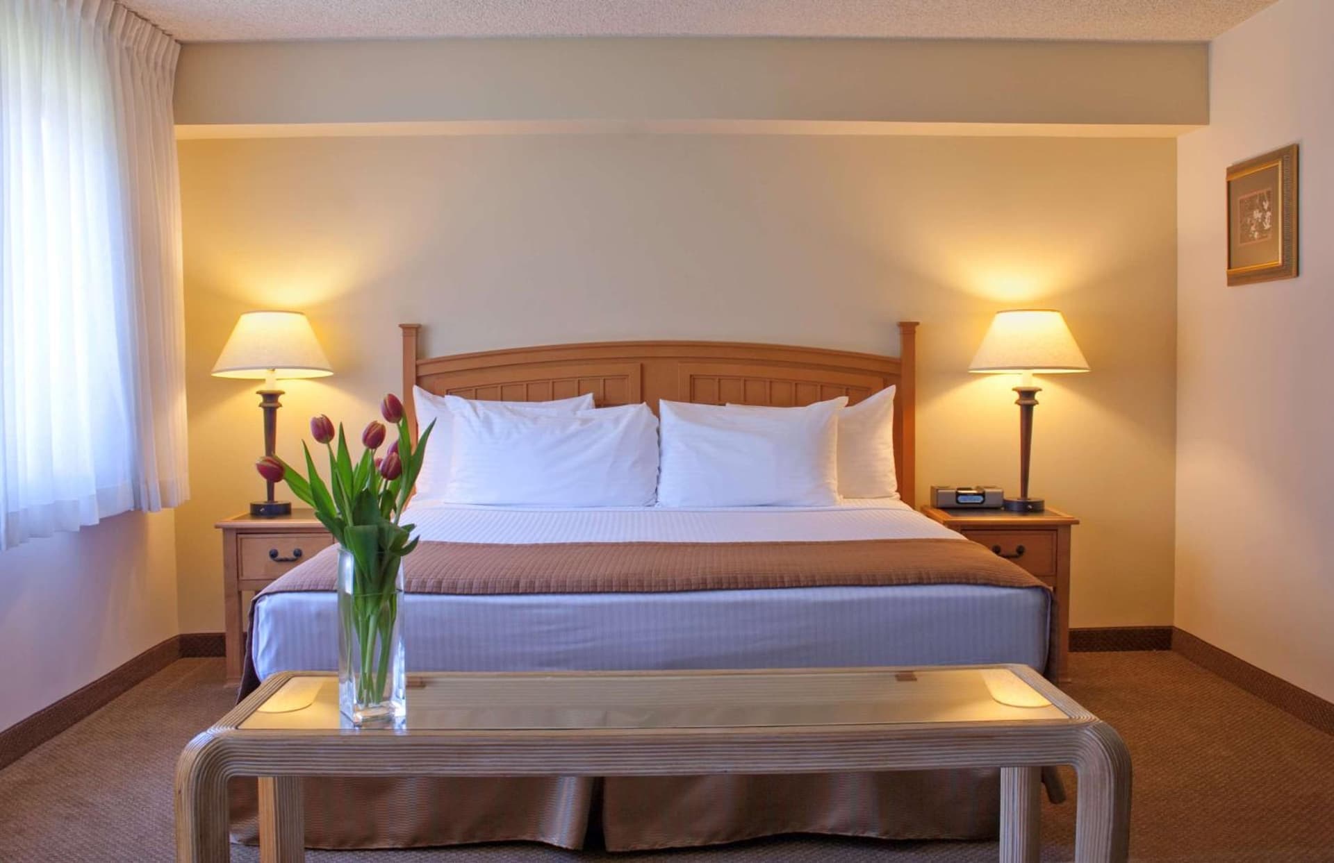 Best Western Seattle Airport Hotel gallery photo in SeaTac, WA — image 25