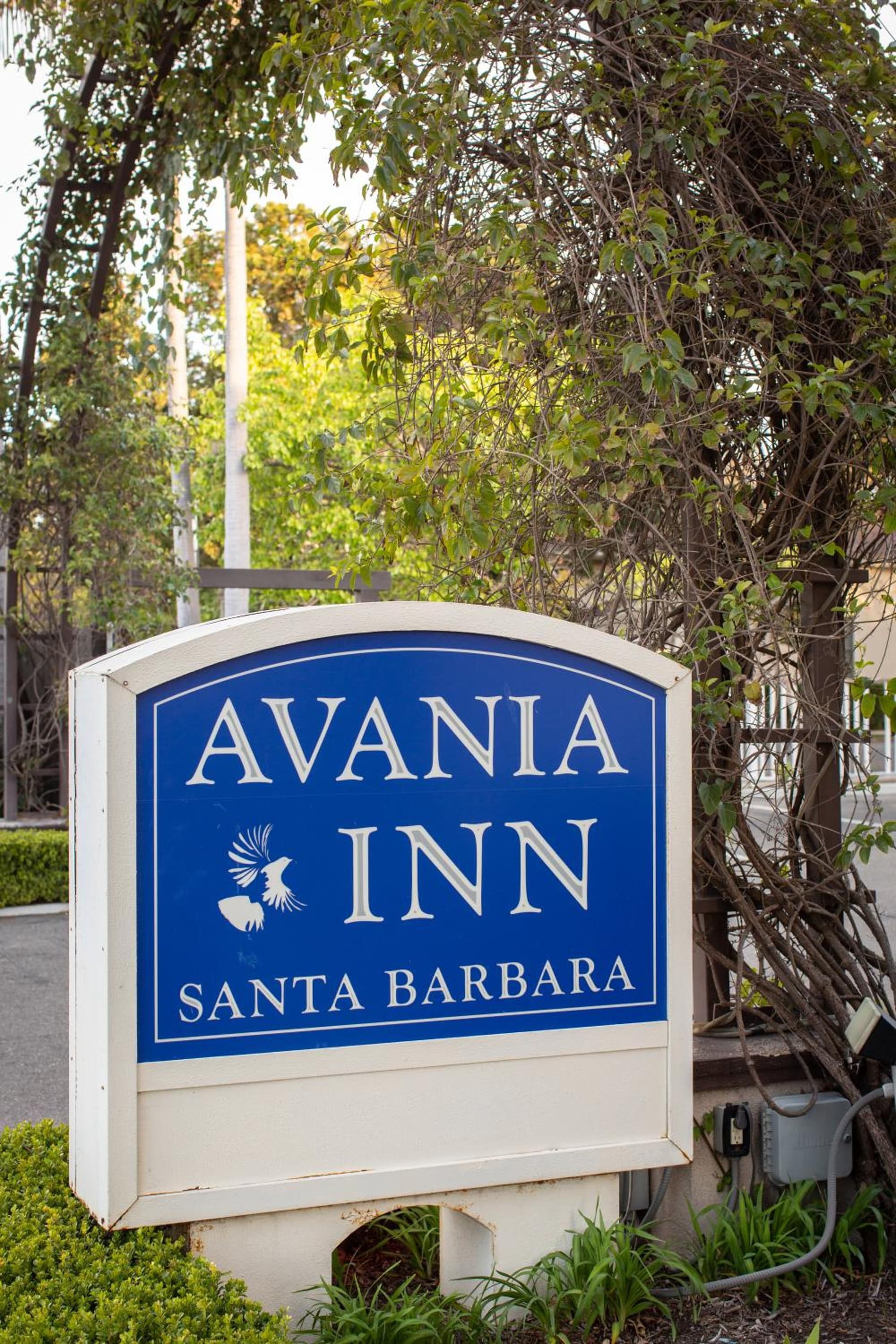 Avania Inn of Santa Barbara gallery photo in Santa Barbara, CA — image 32