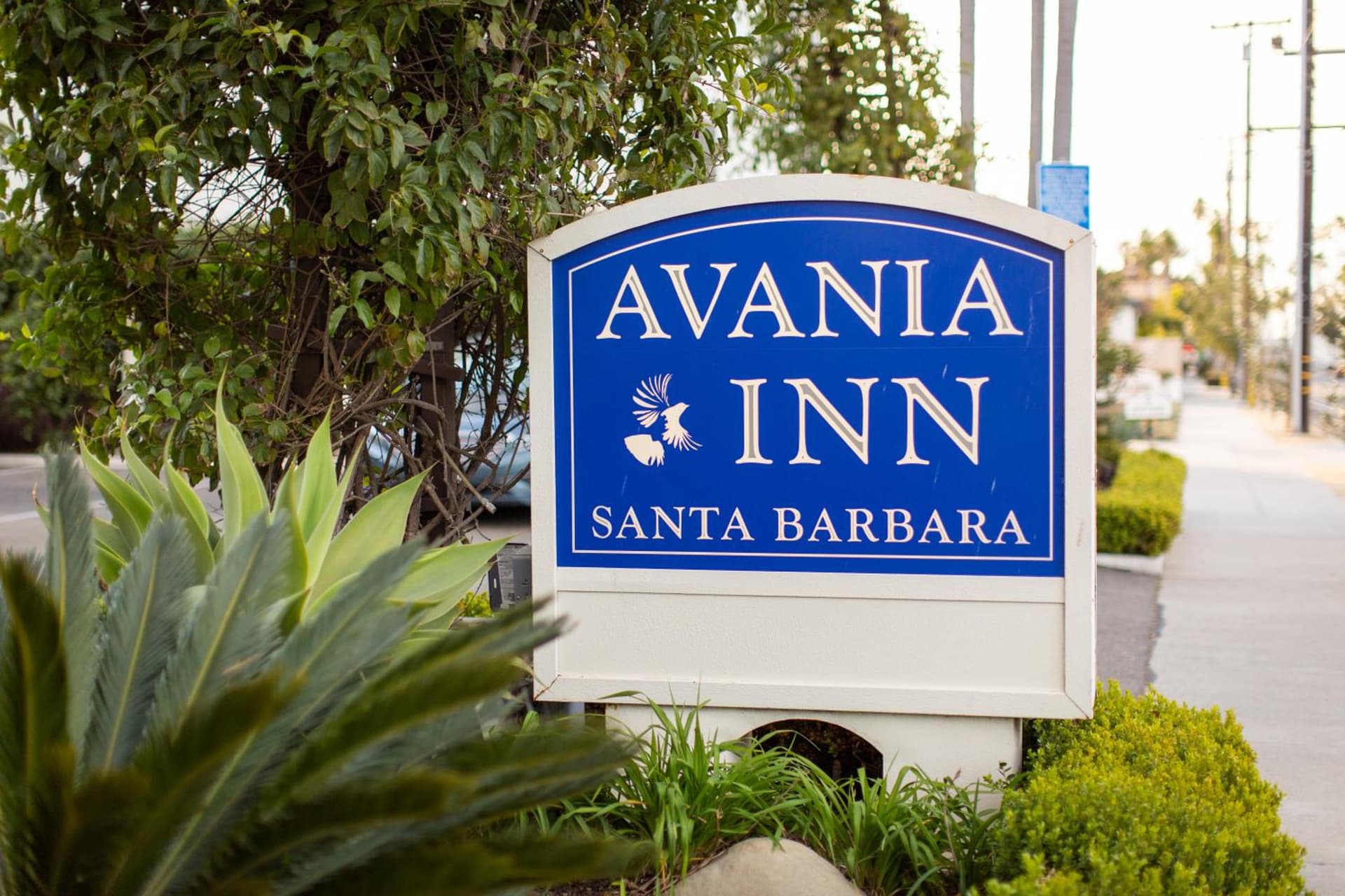 Avania Inn of Santa Barbara property views in Santa Barbara, CA — gallery photo 3
