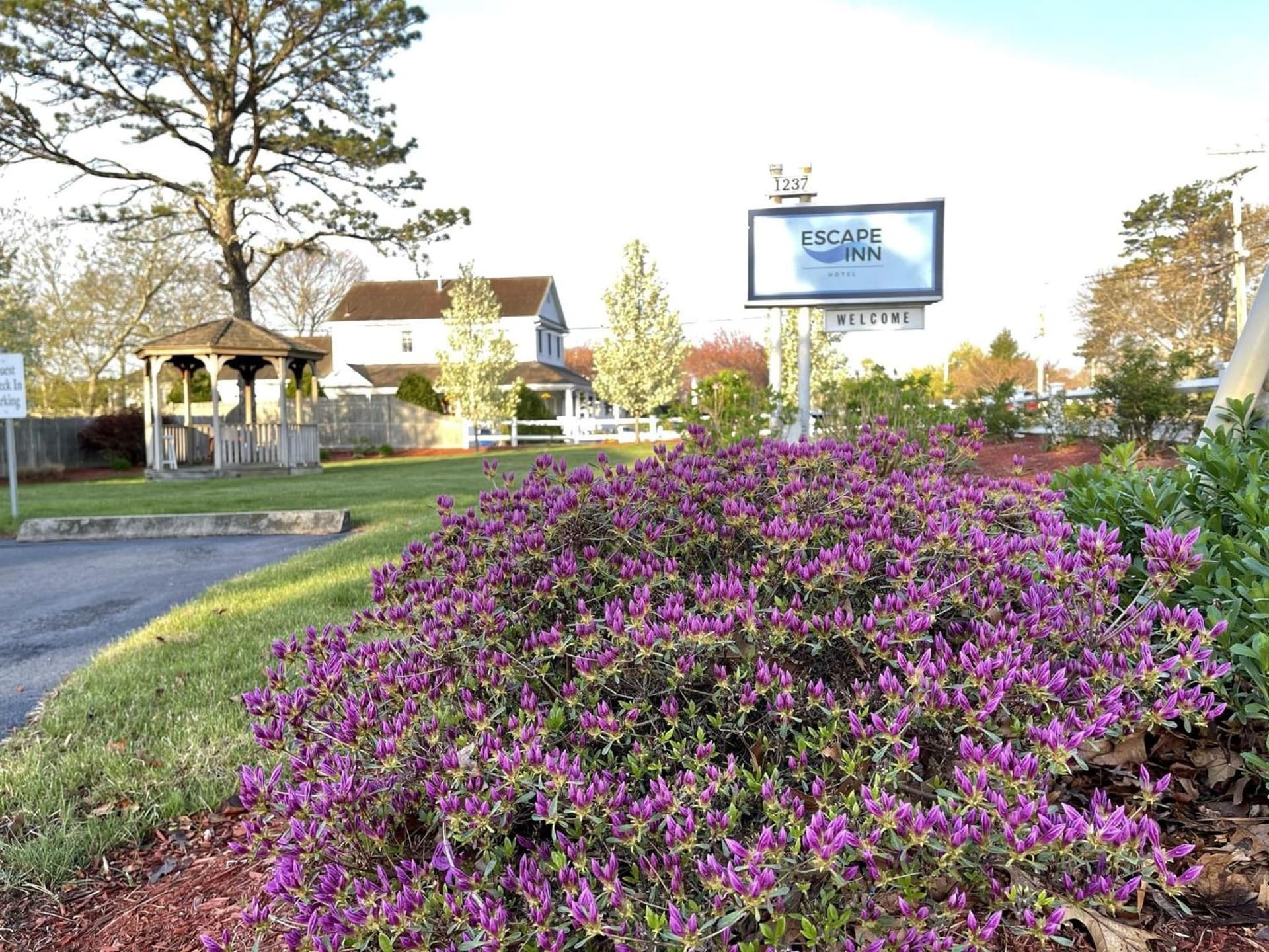 The Escape Inn gallery photo in South Yarmouth, MA — image 21