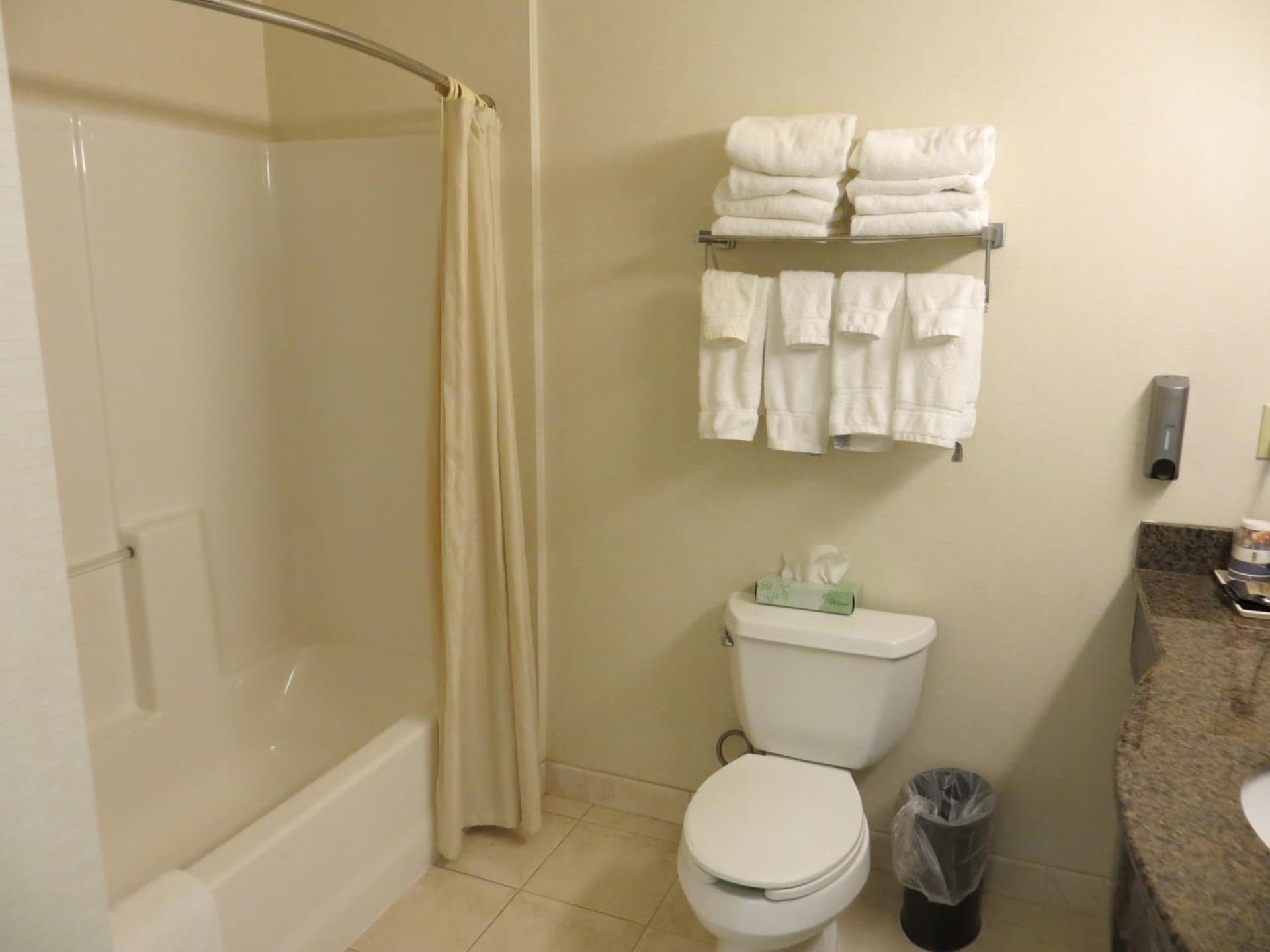 Best Western Plus Lake Elsinore Inn & Suites gallery photo in Lake Elsinore, CA — image 13