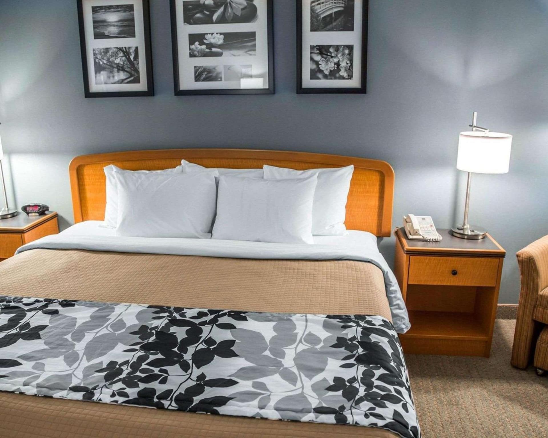 Sleep Inn & Suites Davenport - Quad Cities property views in Bettendorf, IA — gallery photo 3