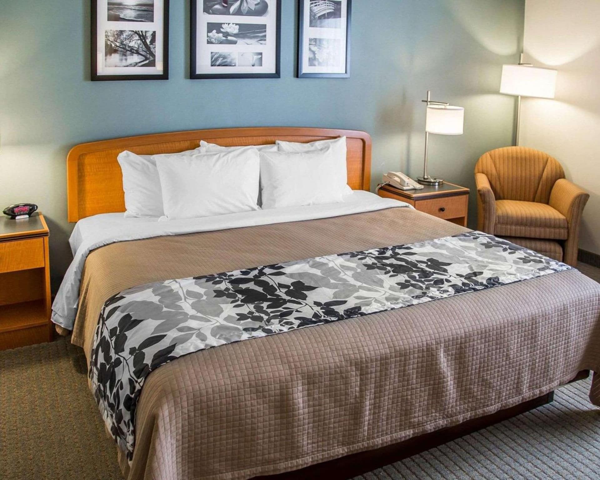 Sleep Inn & Suites Davenport - Quad Cities gallery photo in Bettendorf, IA — image 4