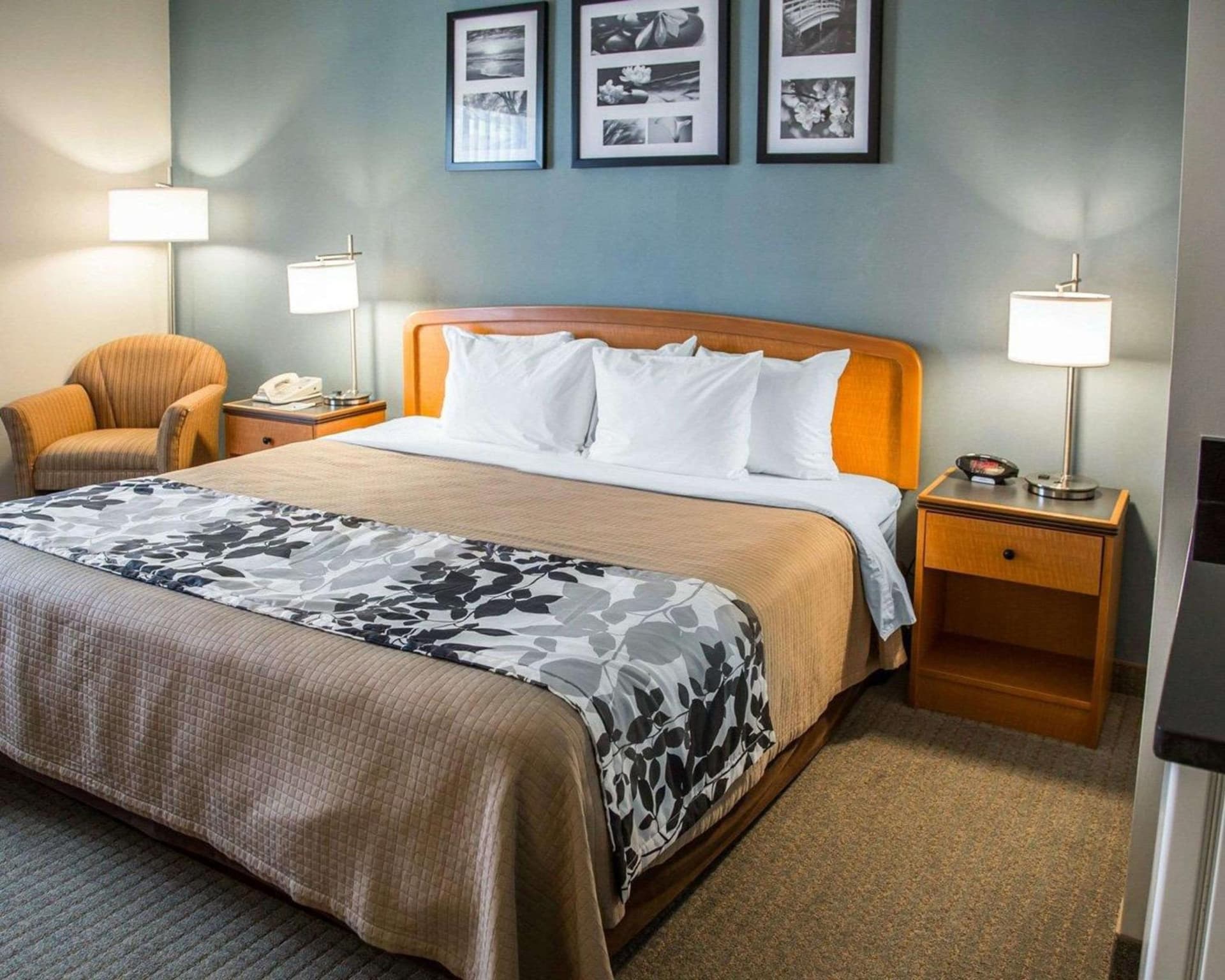 Sleep Inn & Suites Davenport - Quad Cities gallery photo in Bettendorf, IA — image 19