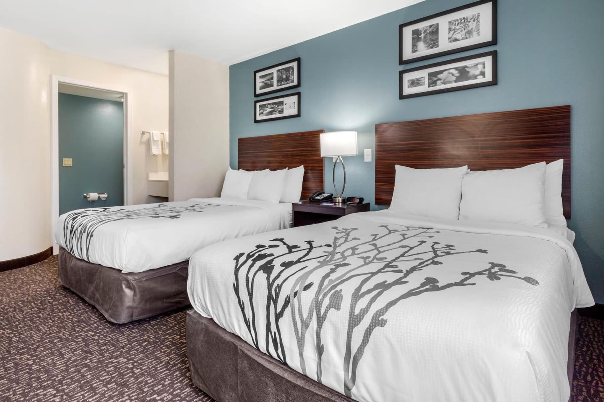Sleep Inn & Suites Johnson City gallery photo in Johnson City, TN — image 42