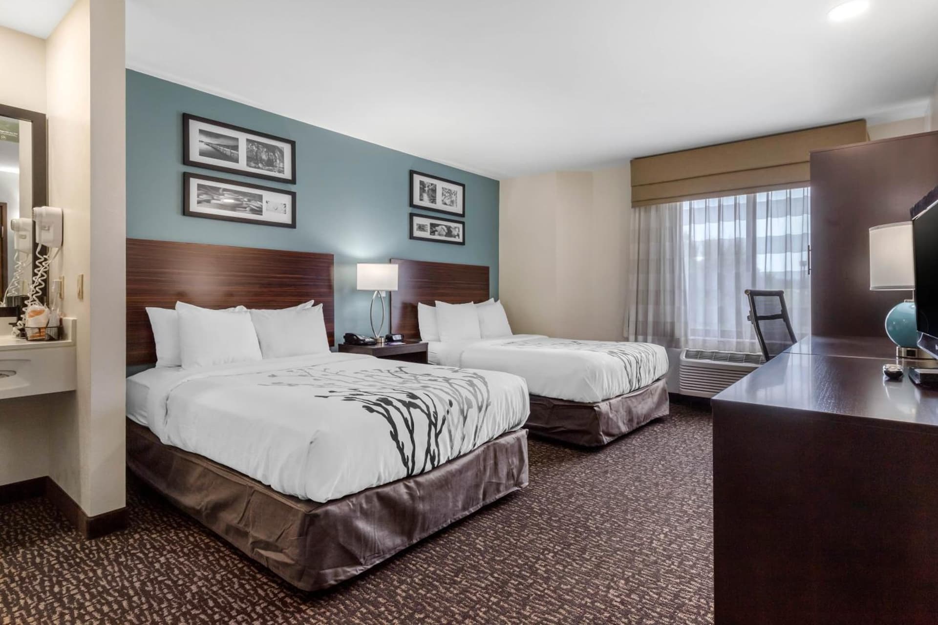 Sleep Inn & Suites Johnson City gallery photo in Johnson City, TN — image 49