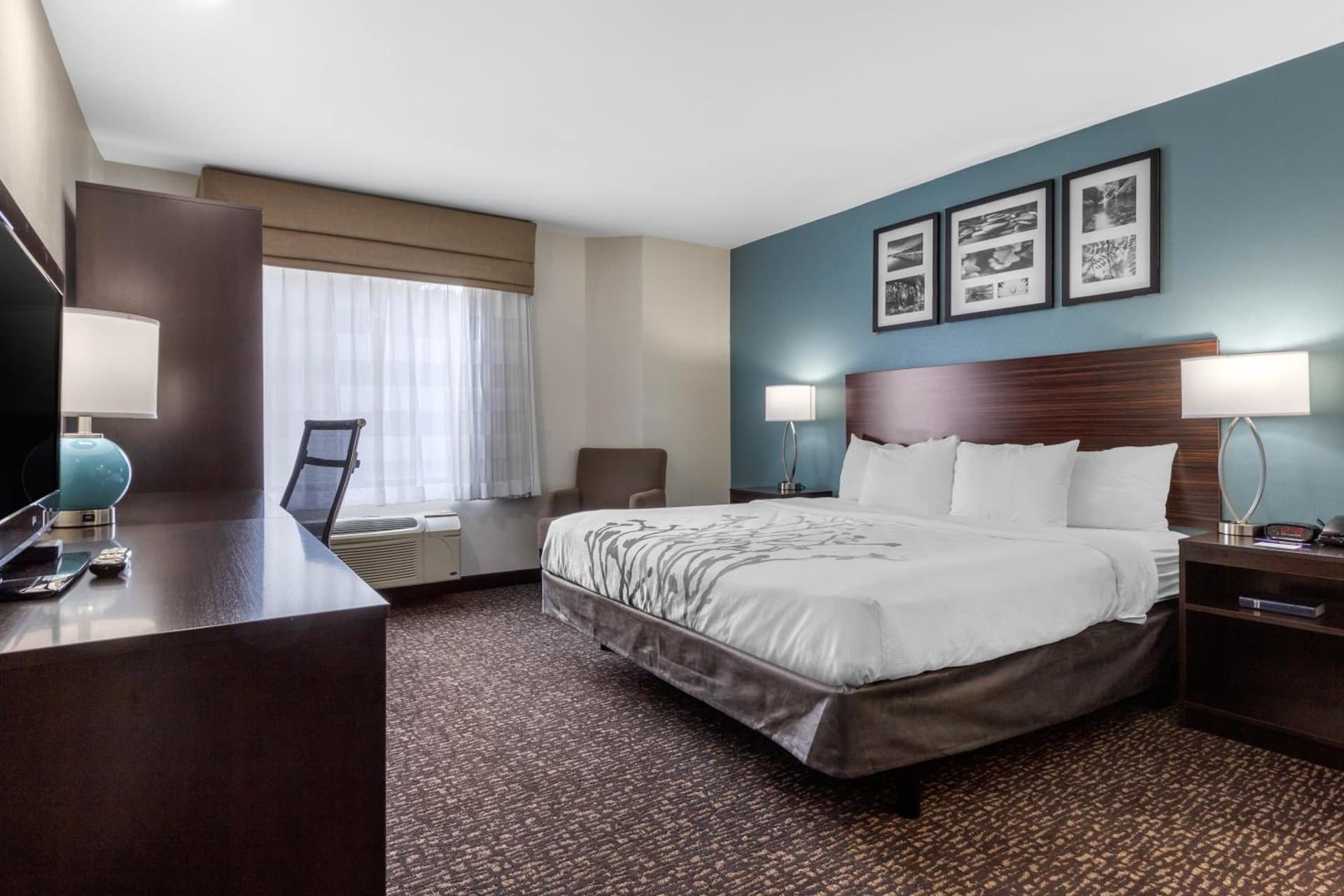 Sleep Inn & Suites Johnson City gallery photo in Johnson City, TN — image 22