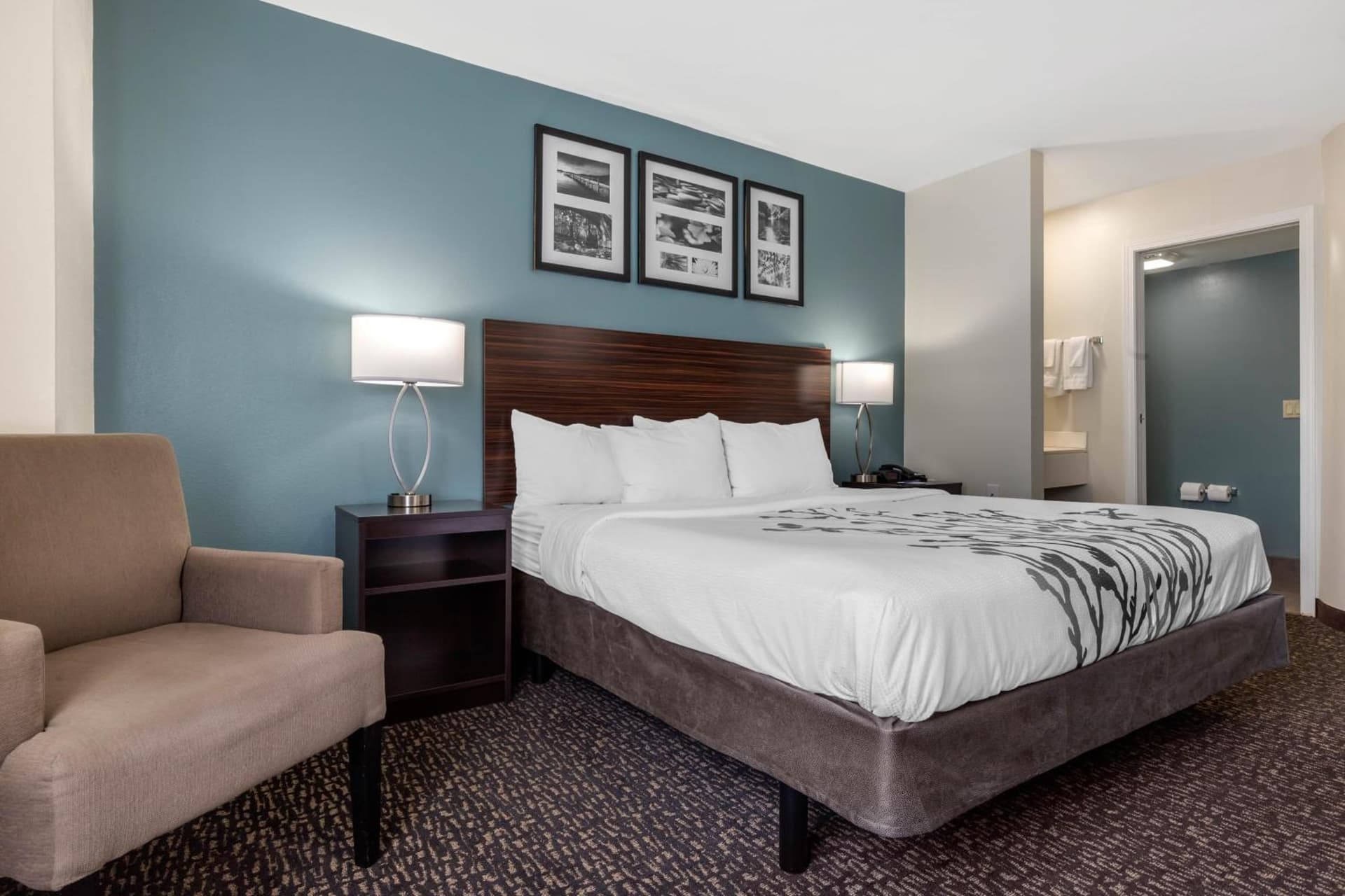 Sleep Inn & Suites Johnson City gallery photo in Johnson City, TN — image 50