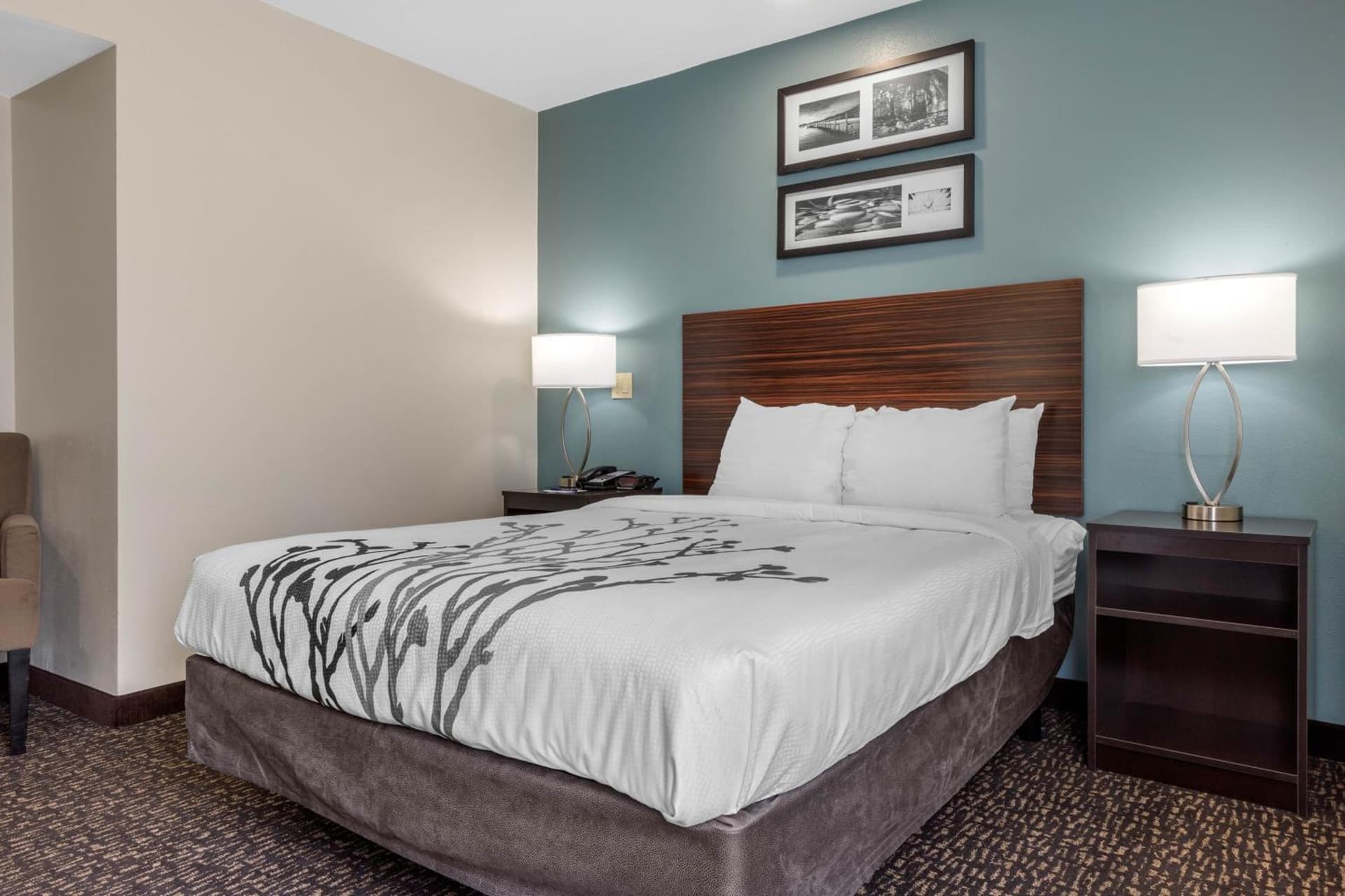 Sleep Inn & Suites Johnson City gallery photo in Johnson City, TN — image 7
