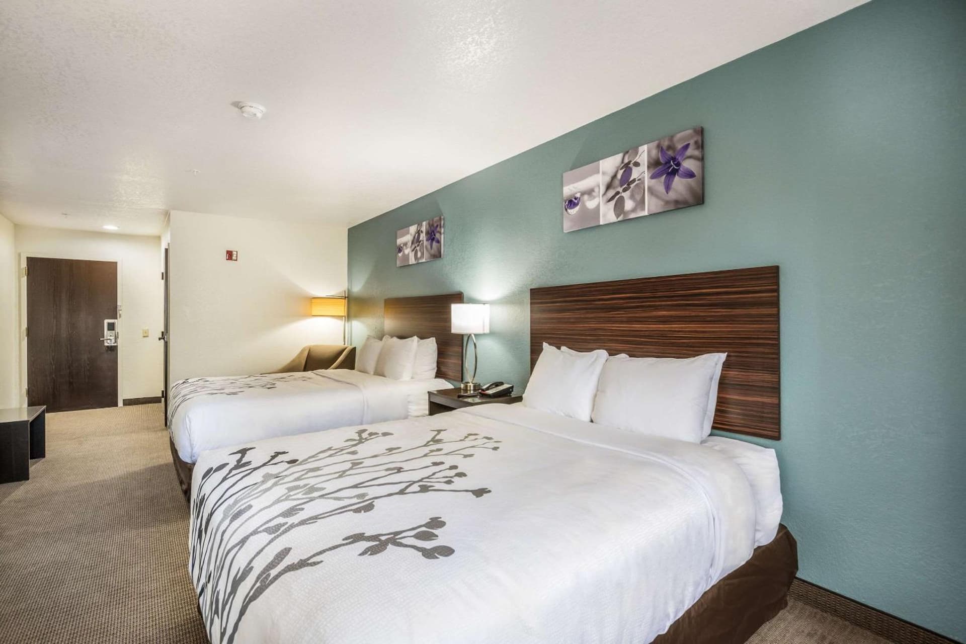 Sleep Inn & Suites Tallahassee-Capitol gallery photo in Tallahassee, FL — image 43
