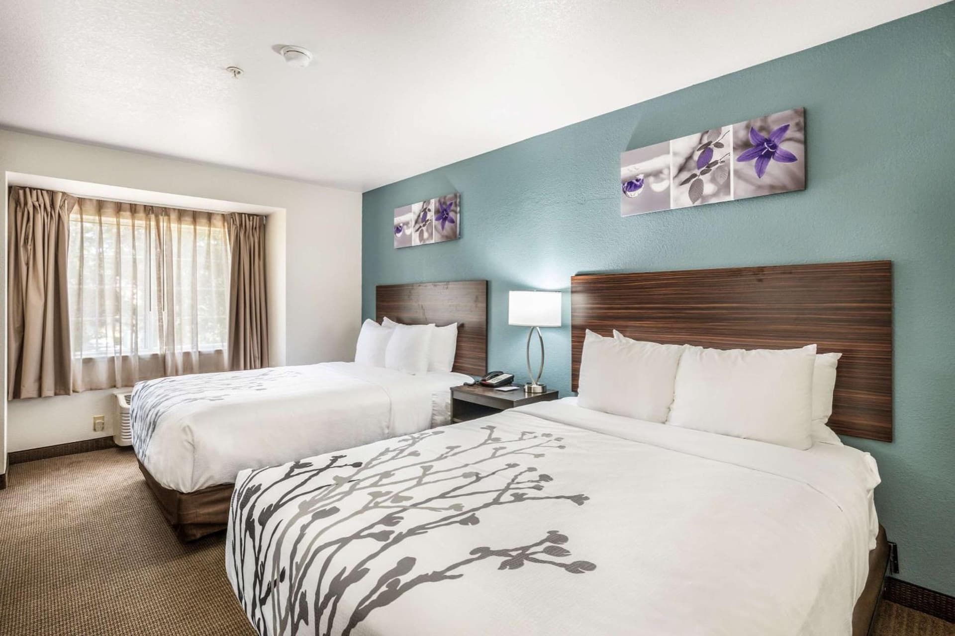 Sleep Inn & Suites Tallahassee-Capitol gallery photo in Tallahassee, FL — image 56