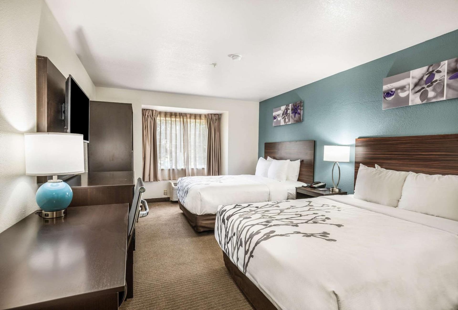 Sleep Inn & Suites Tallahassee-Capitol gallery photo in Tallahassee, FL — image 16