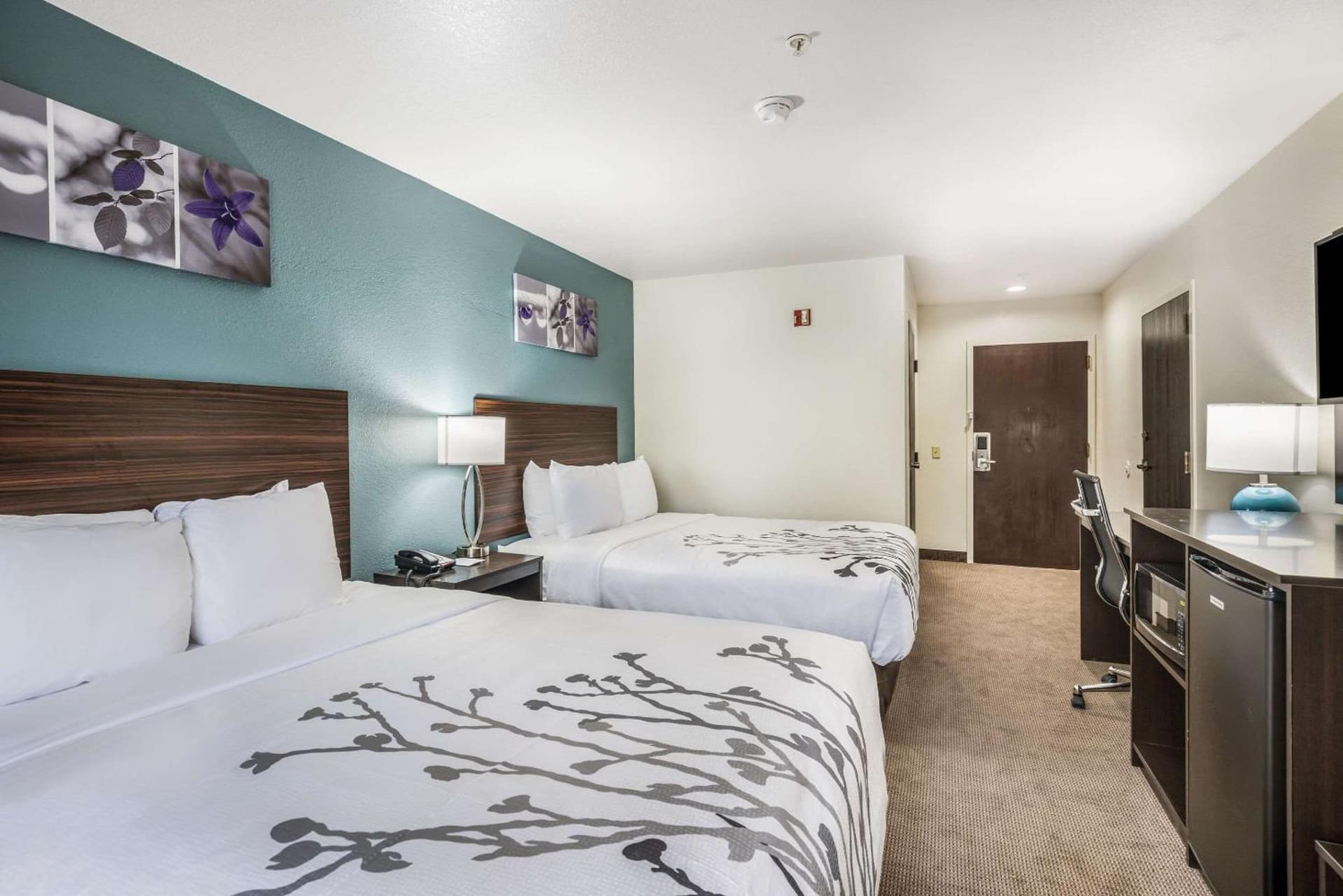 Sleep Inn & Suites Tallahassee-Capitol gallery photo in Tallahassee, FL — image 31