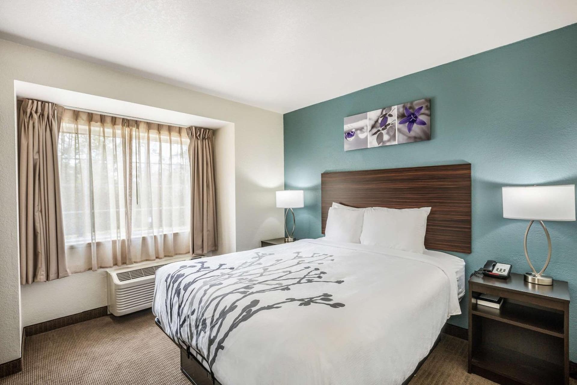Sleep Inn & Suites Tallahassee-Capitol interior in Tallahassee, FL — gallery photo 2