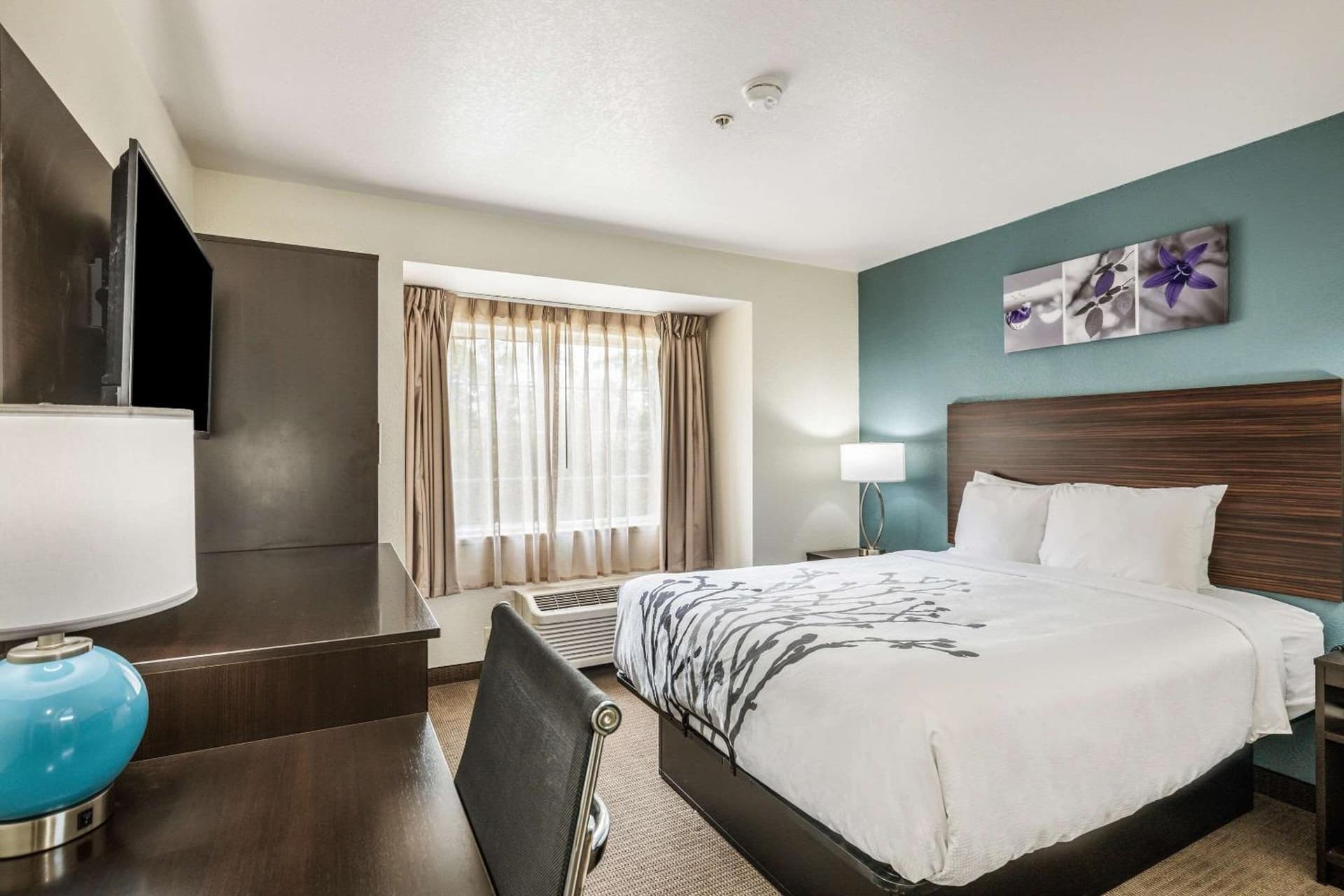 Sleep Inn & Suites Tallahassee-Capitol gallery photo in Tallahassee, FL — image 37