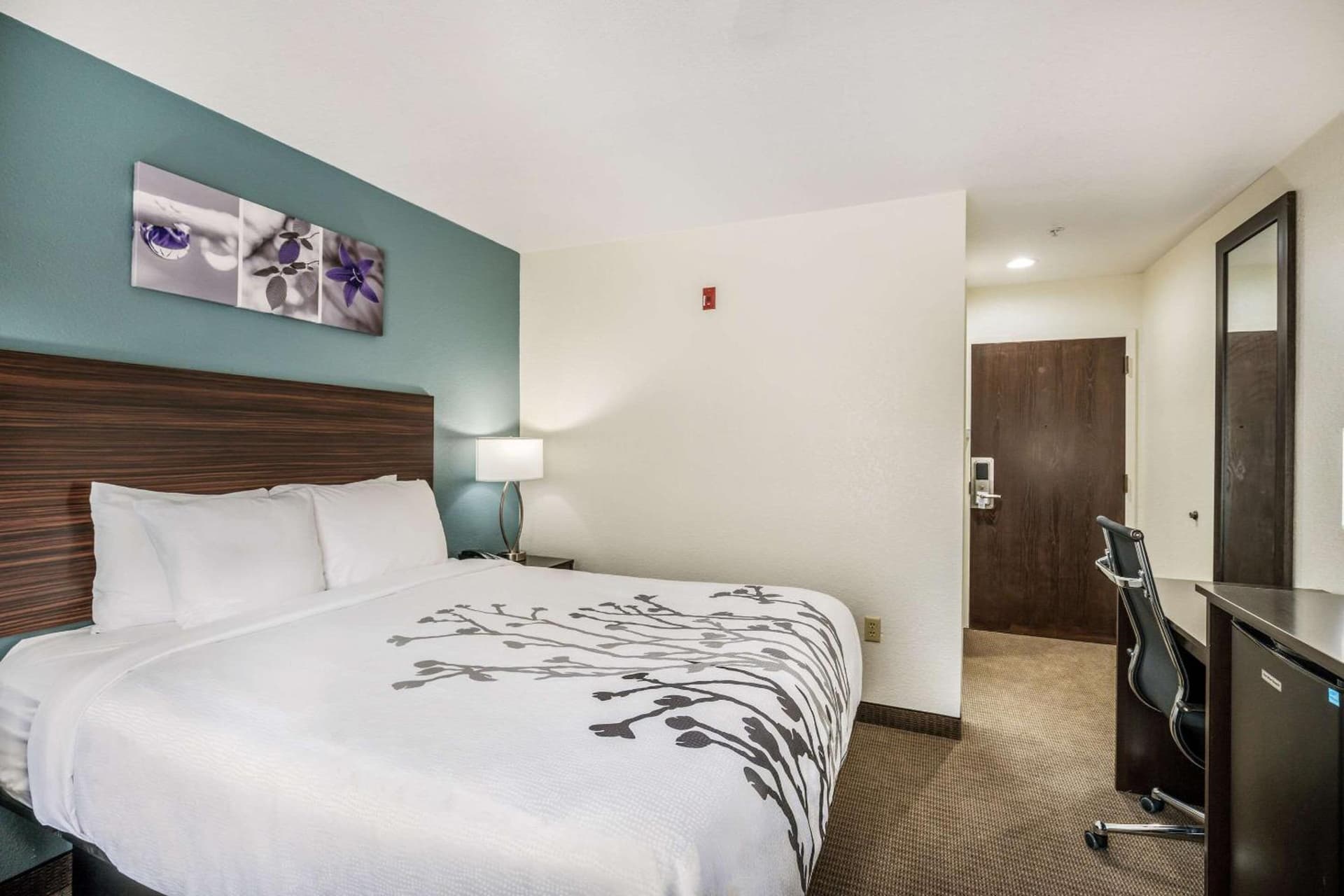Sleep Inn & Suites Tallahassee-Capitol gallery photo in Tallahassee, FL — image 29