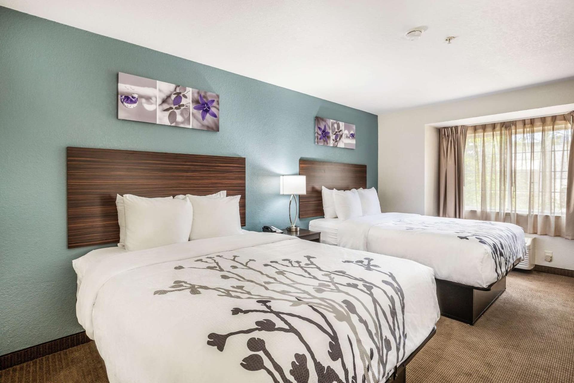 Sleep Inn & Suites Tallahassee-Capitol gallery photo in Tallahassee, FL — image 55